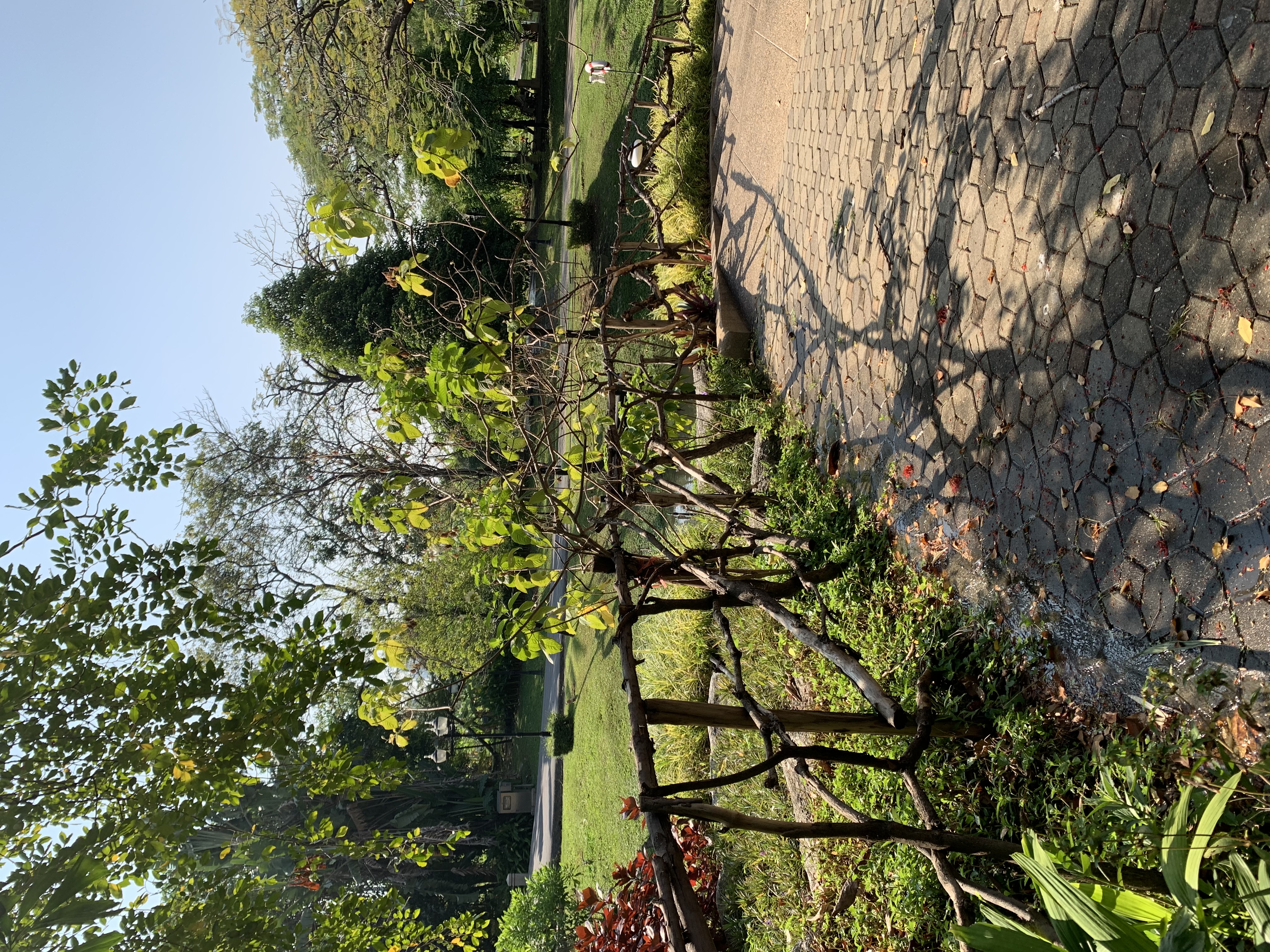 Queen Sirikit Park14.jpg