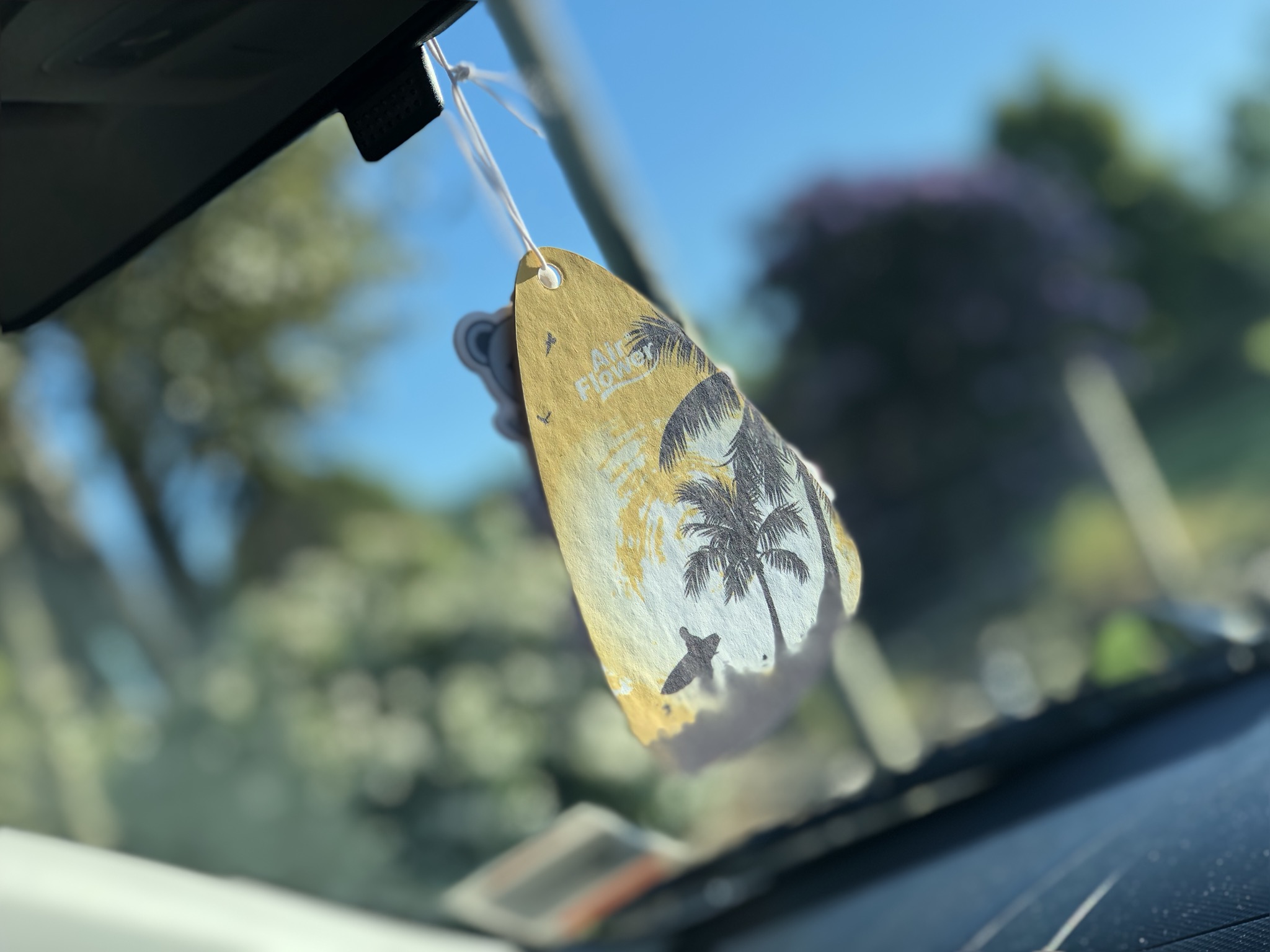 61884785-8AB9-4CE5-BF89-2AEBD6001716.jpeg