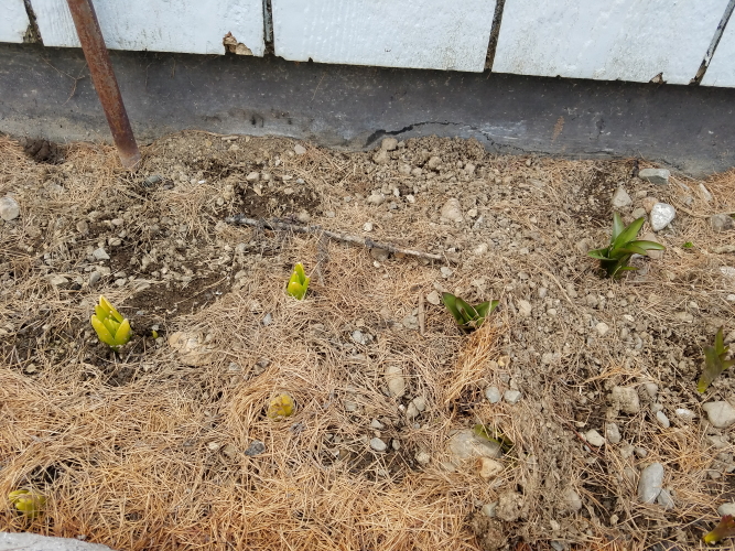 20190326_164954_5.jpg