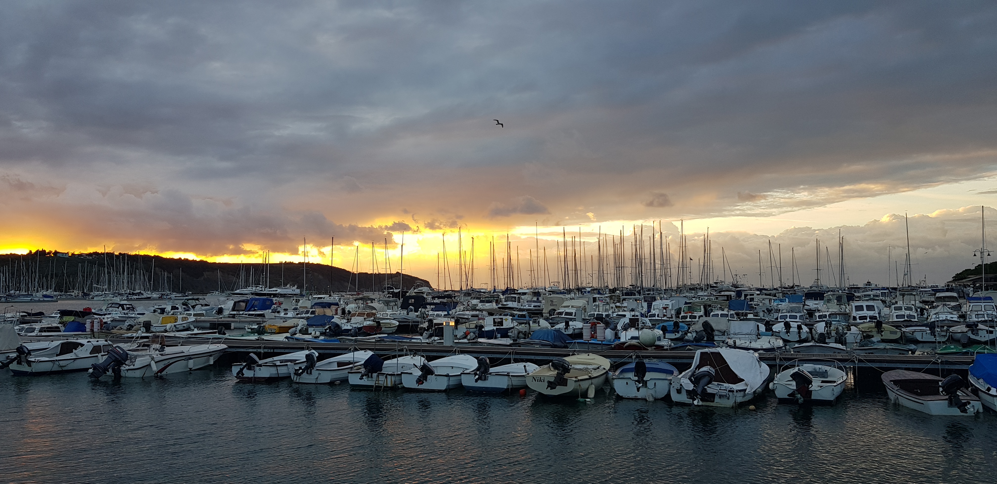 20181030_164314.jpg