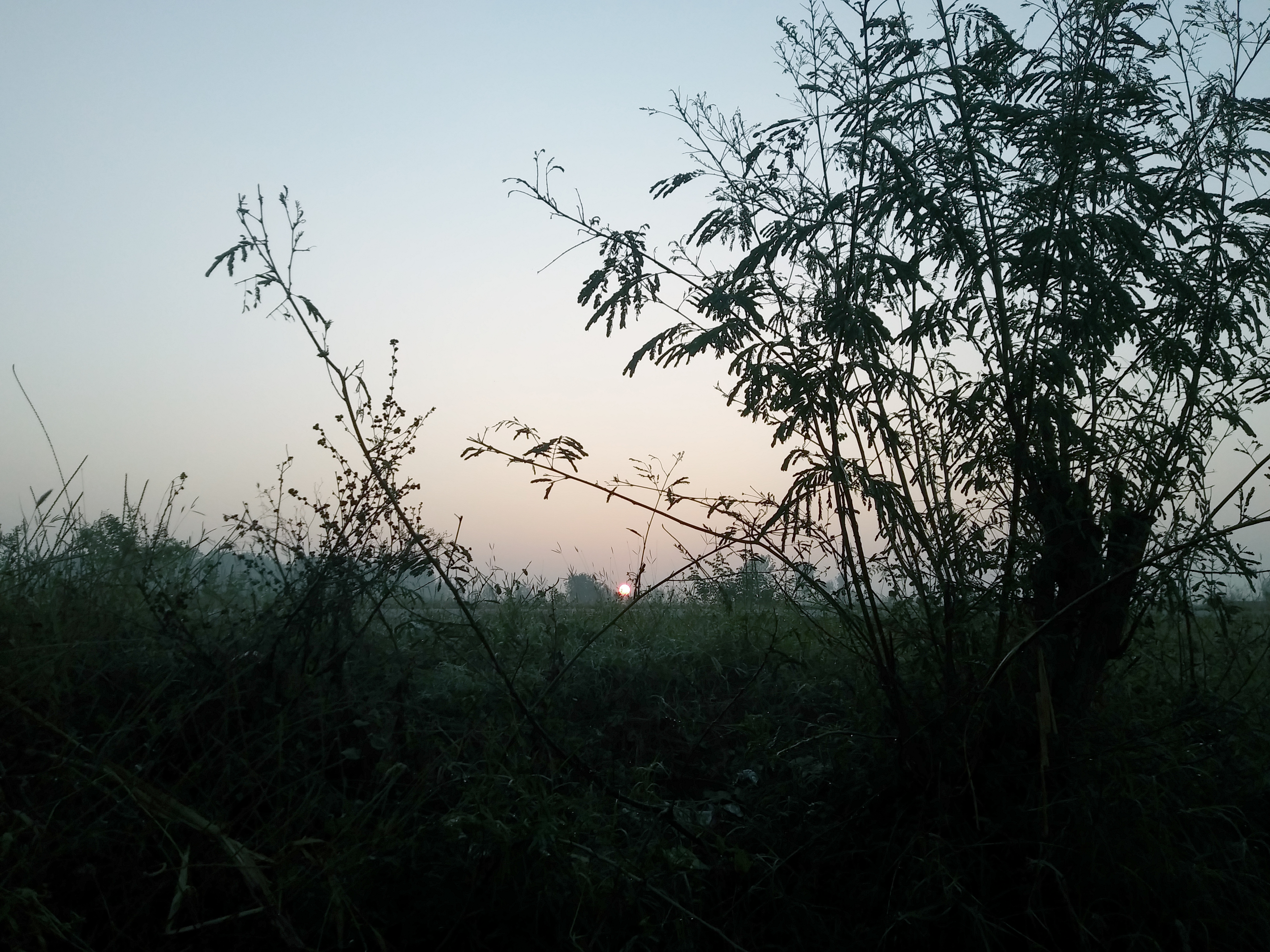 20191201_070813.jpg
