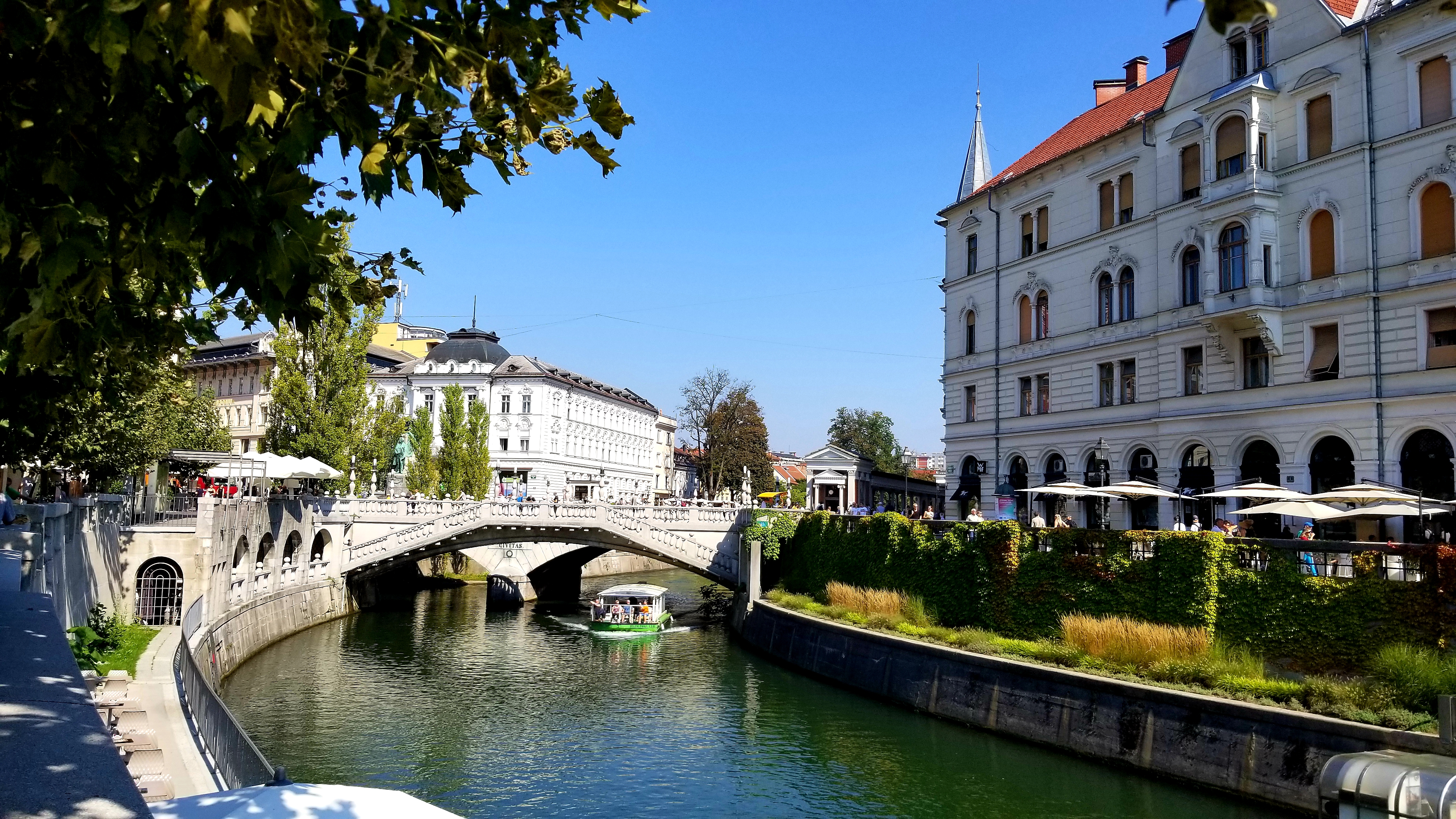 20180924_134338.jpg