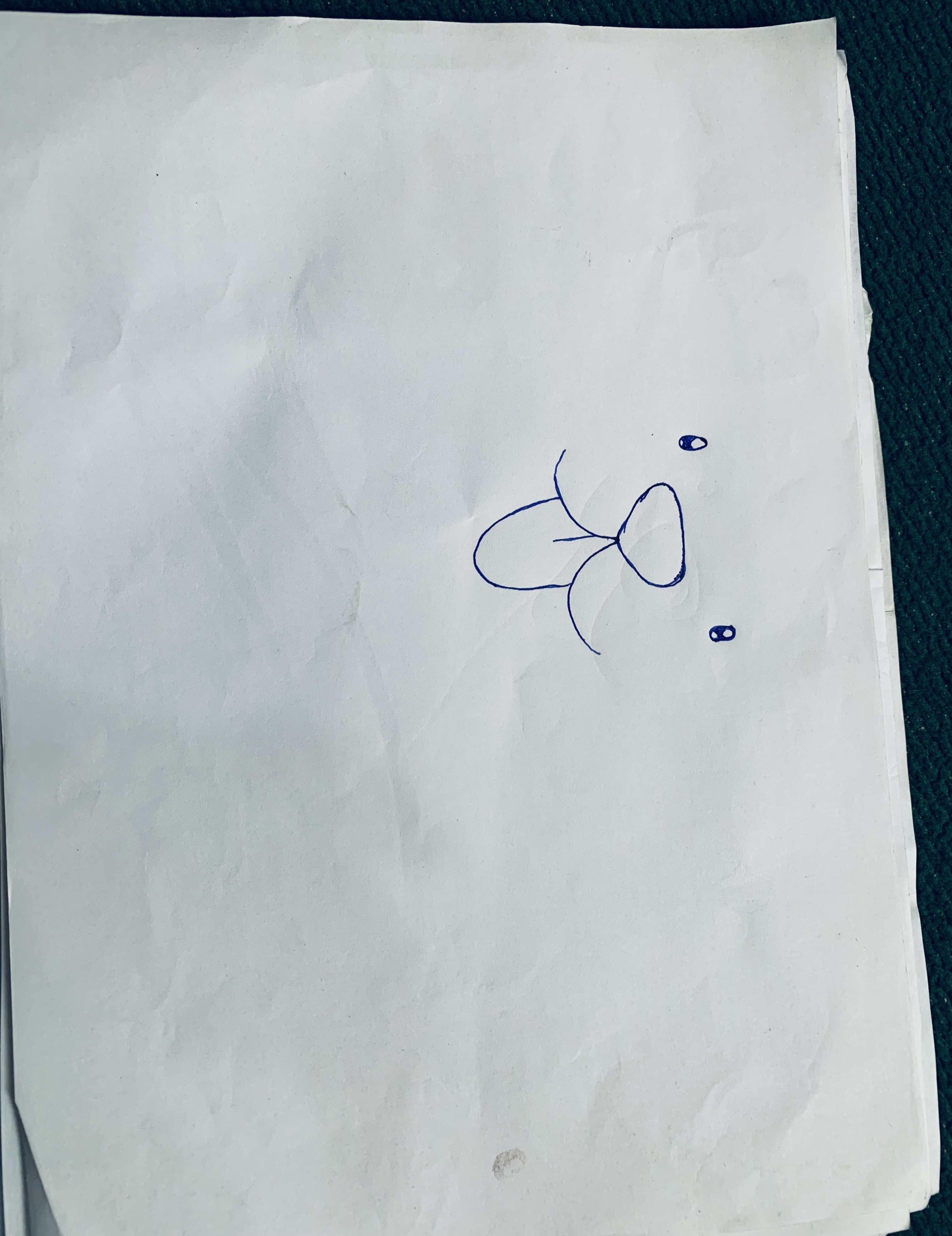 1302AB72-81FE-45F9-BC67-629C429DF1AC.jpeg