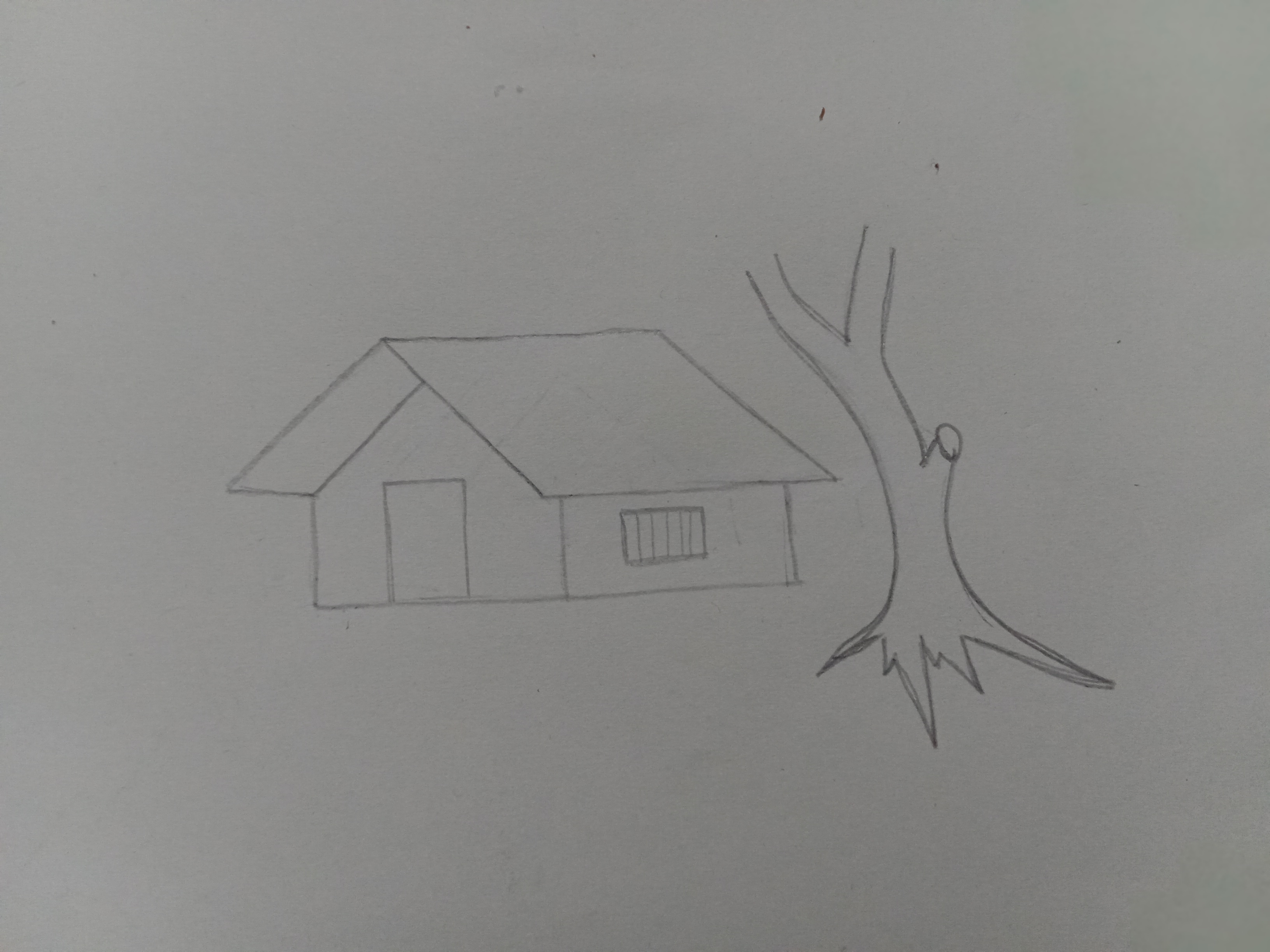 IMG20250201102910.jpg
