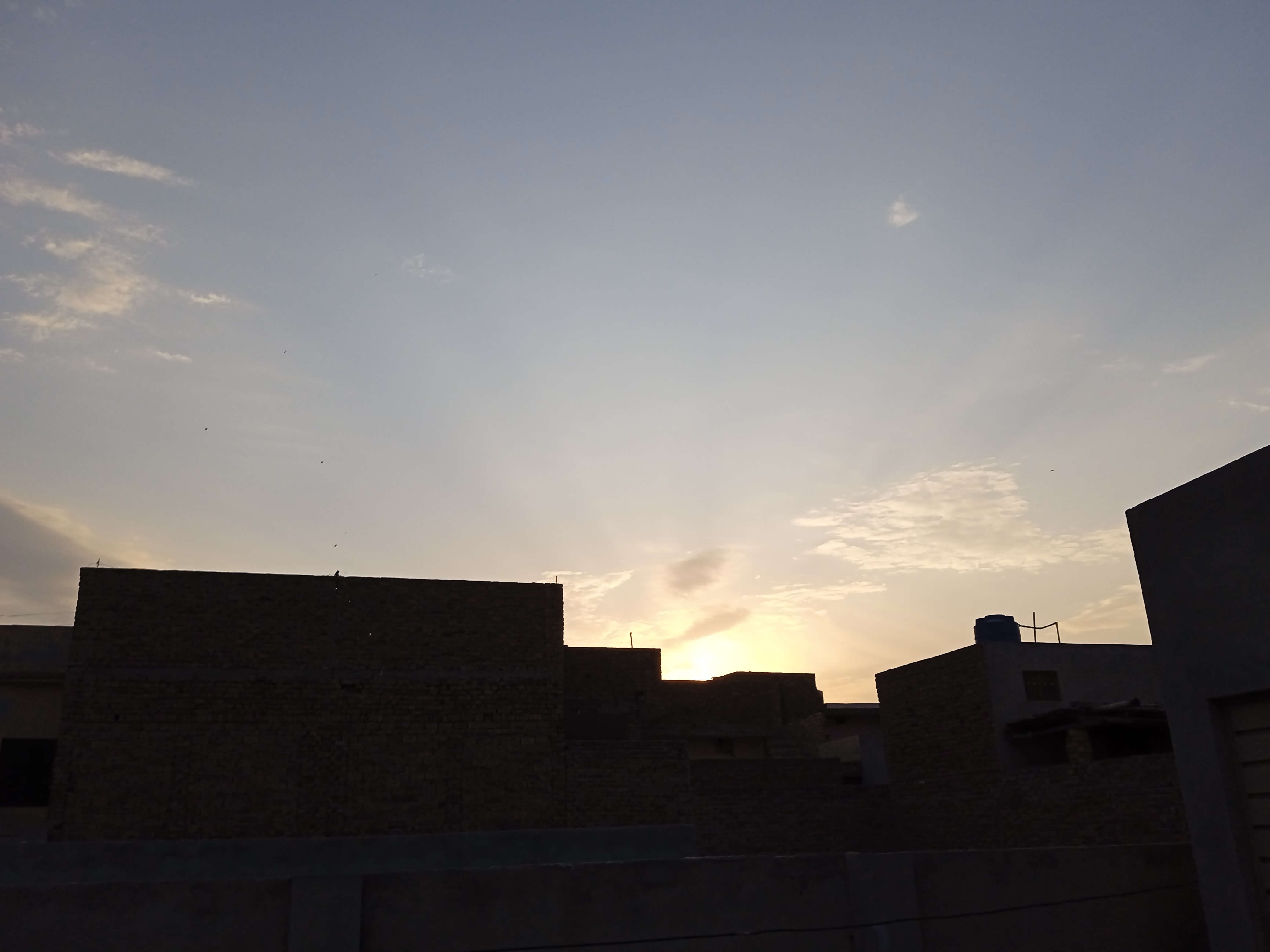 IMG_20230302_174430.jpg