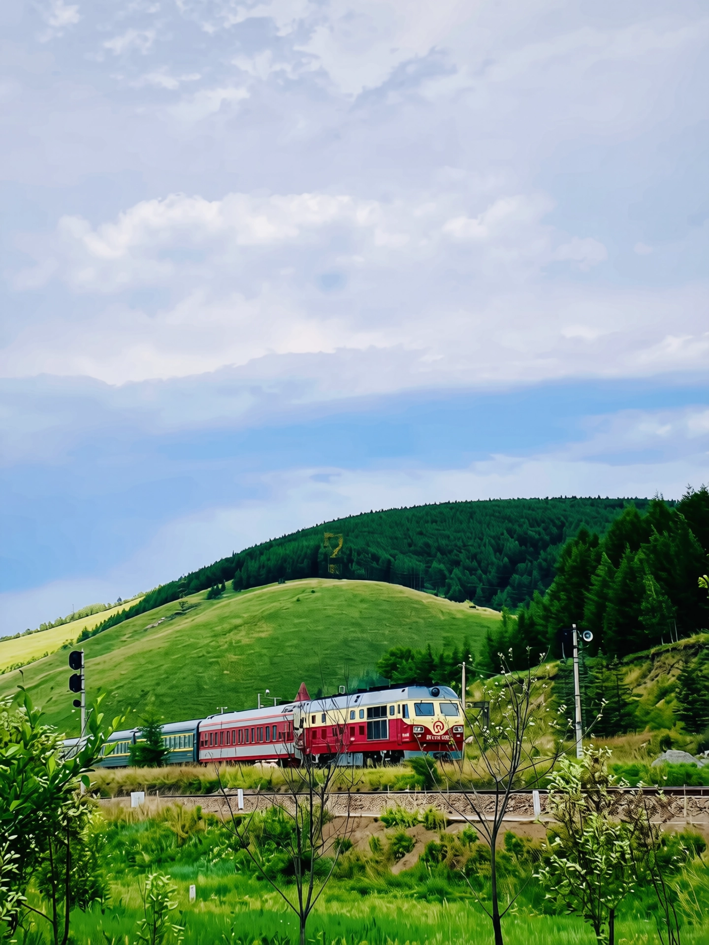 131.webp