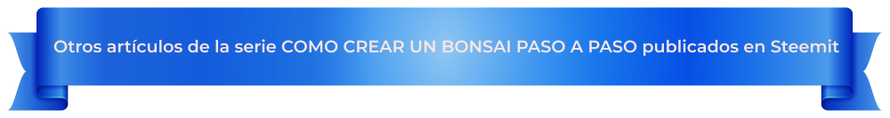 banner-otros-artículos-que-te-podrian-interesar-(BONSAI).png