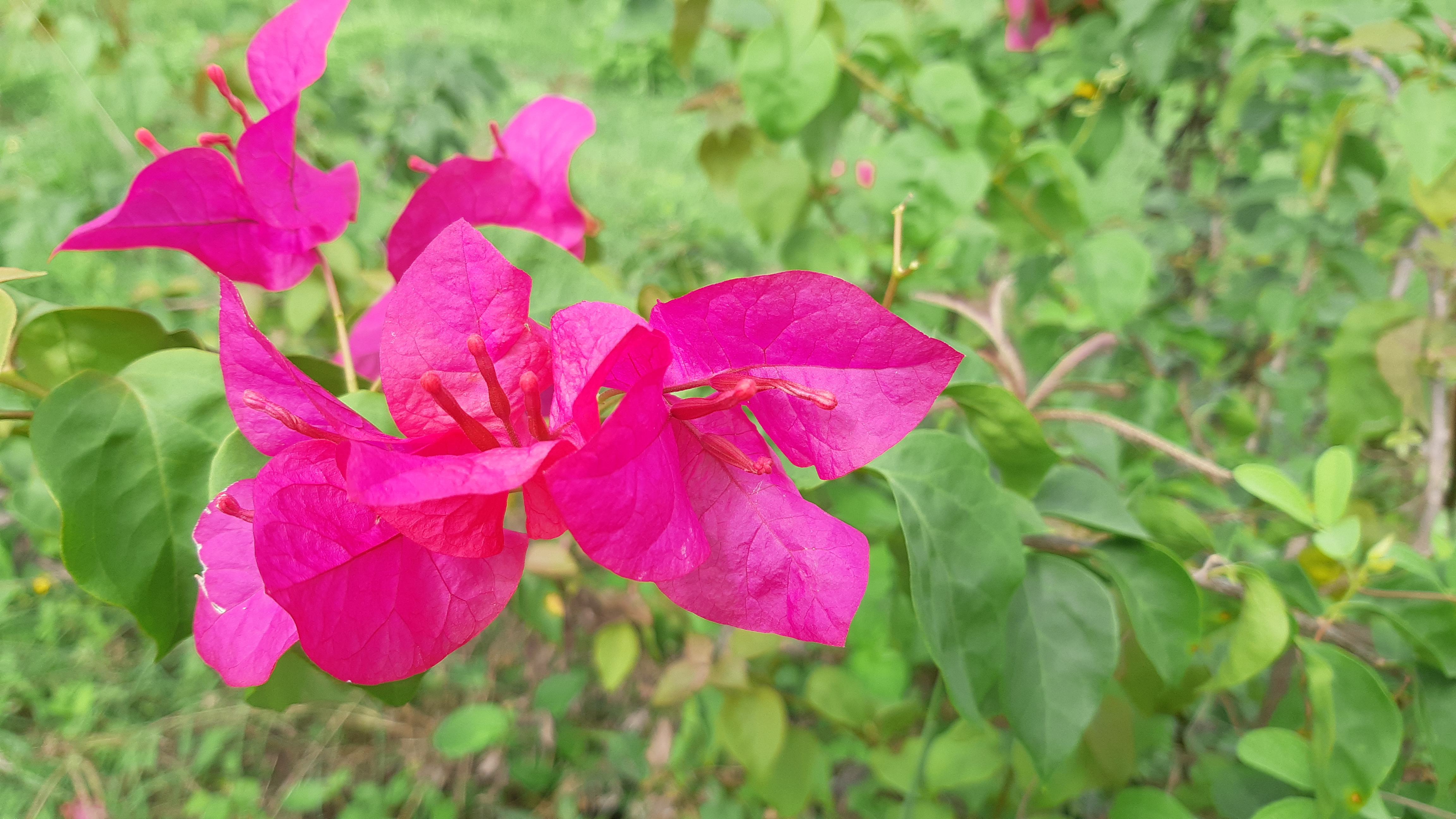 20181014_150357.jpg
