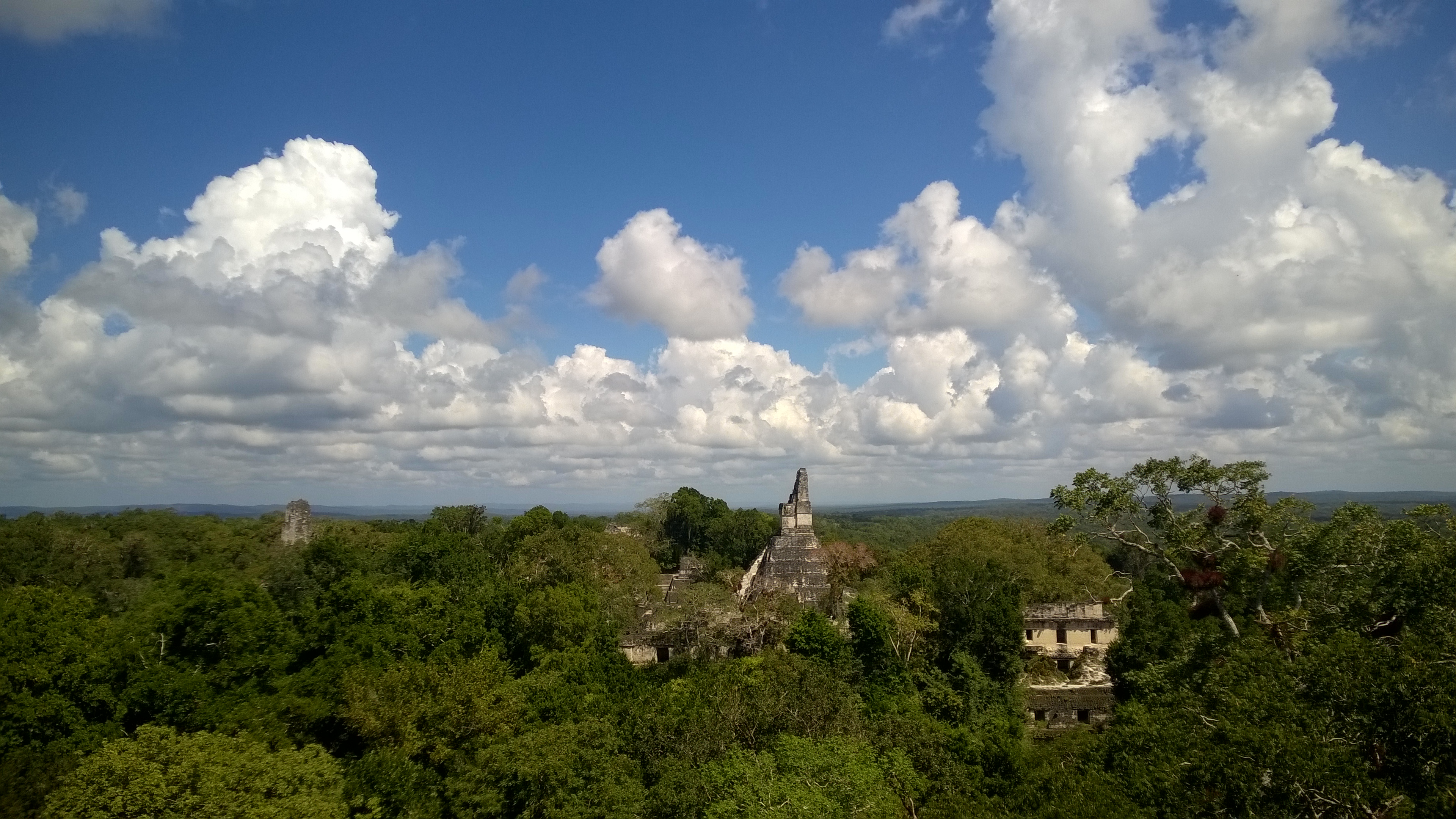 WP_20180302_047.jpg