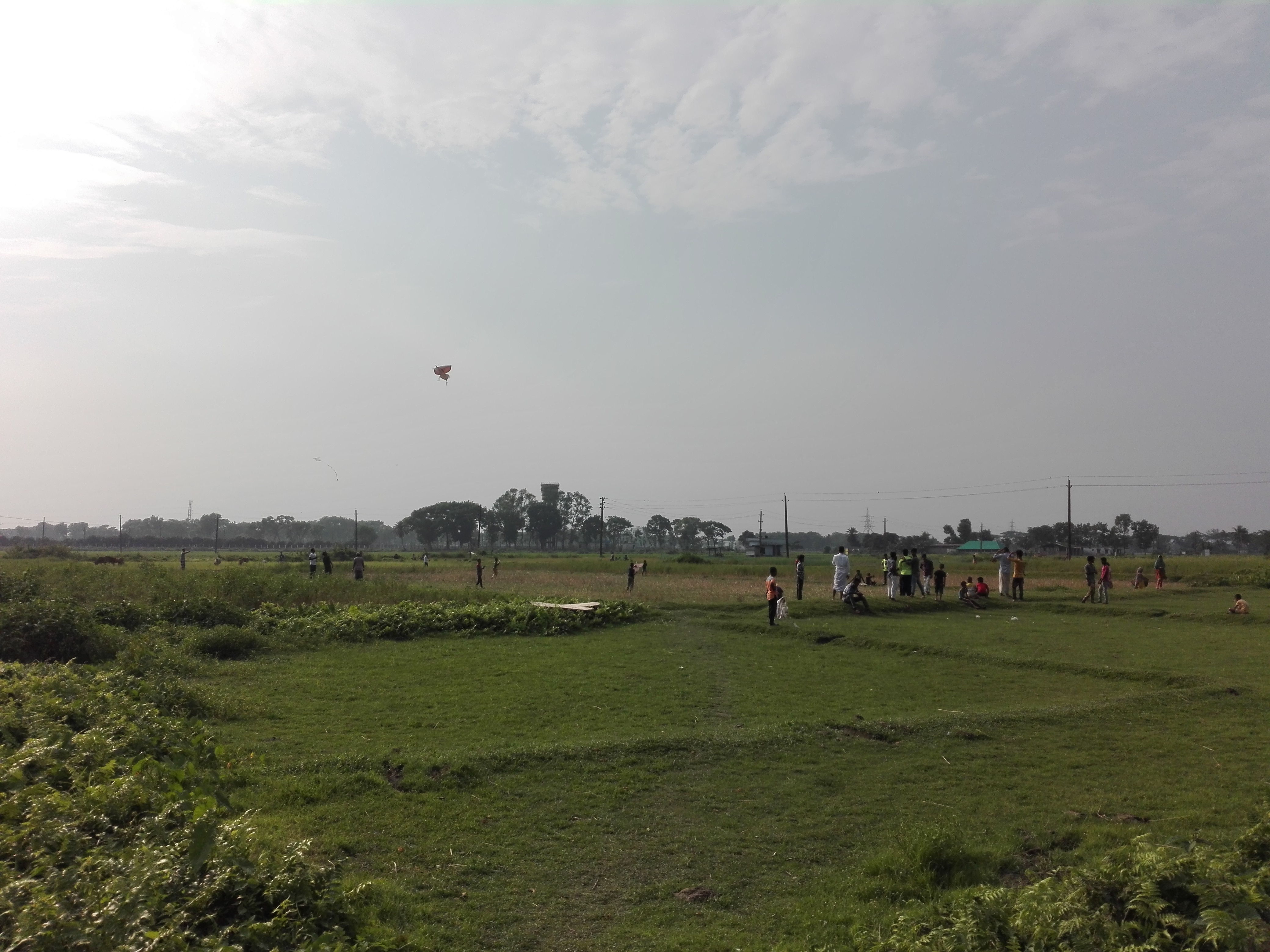 IMG_20200422_161748.jpg