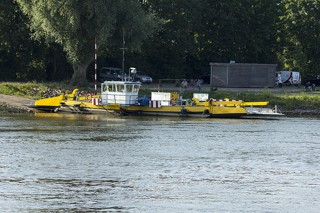 IMG_6946.jpg