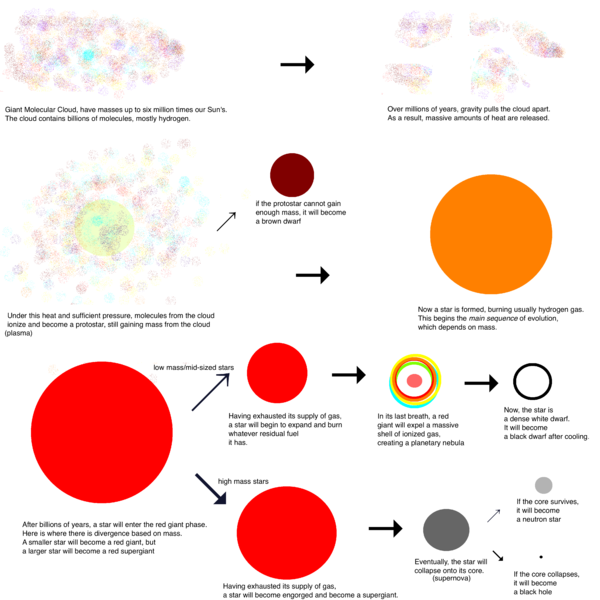 Starlifesimple (1).png