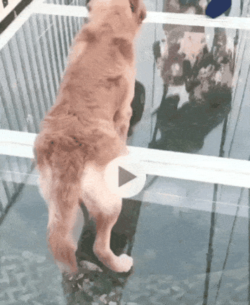 20180919_092113.gif