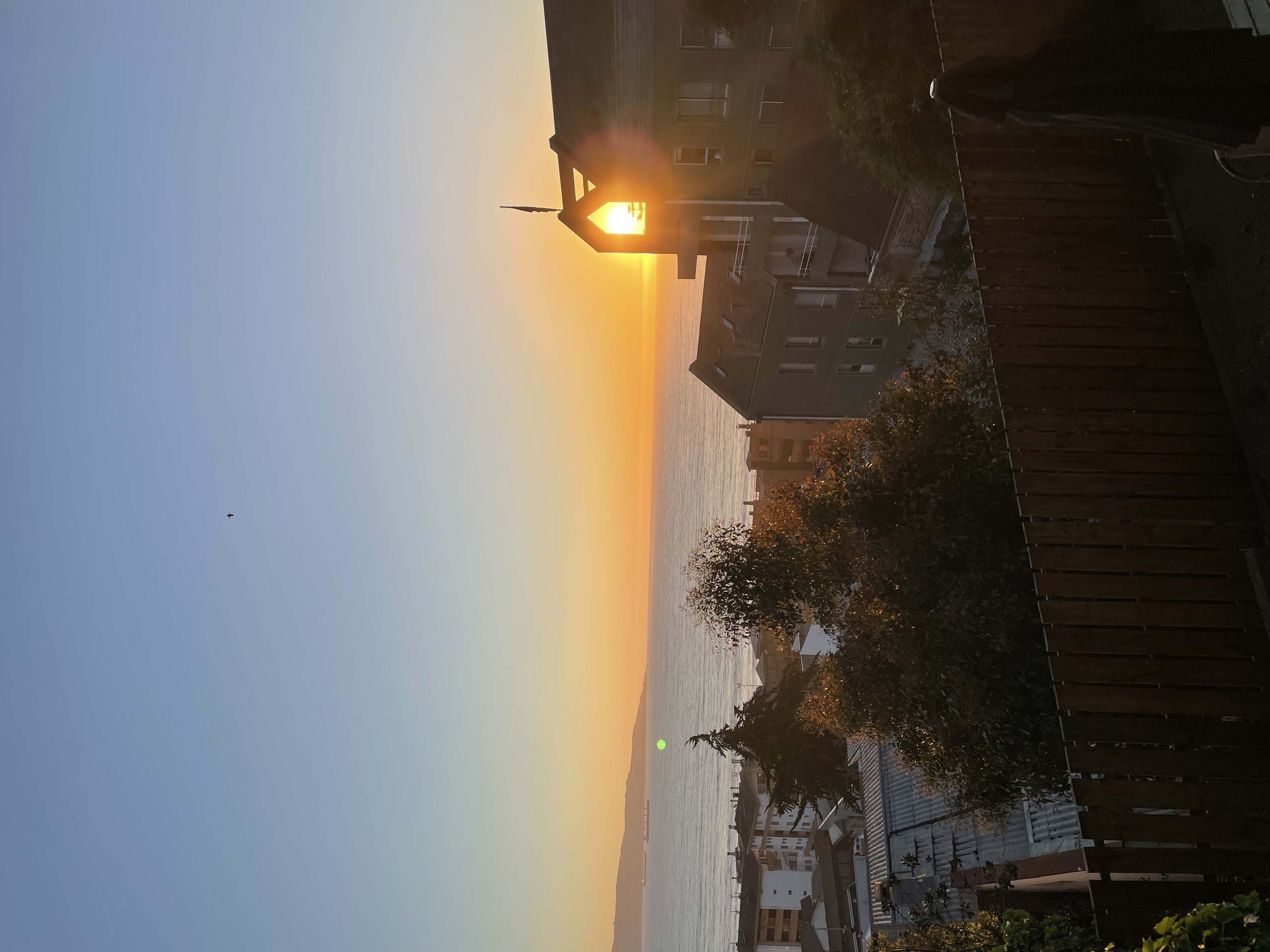 IMG_5720.jpeg