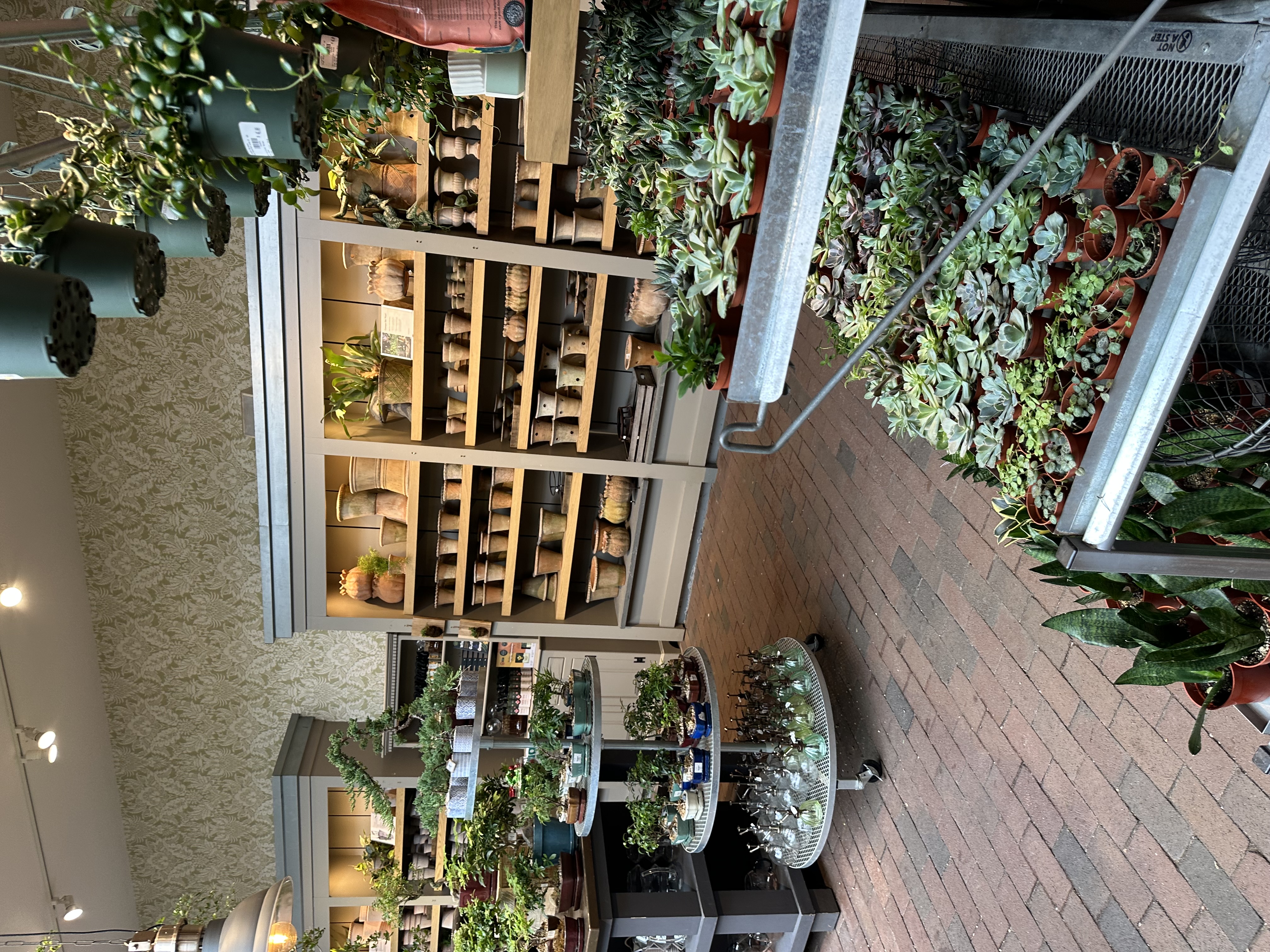 IMG_5539.jpeg