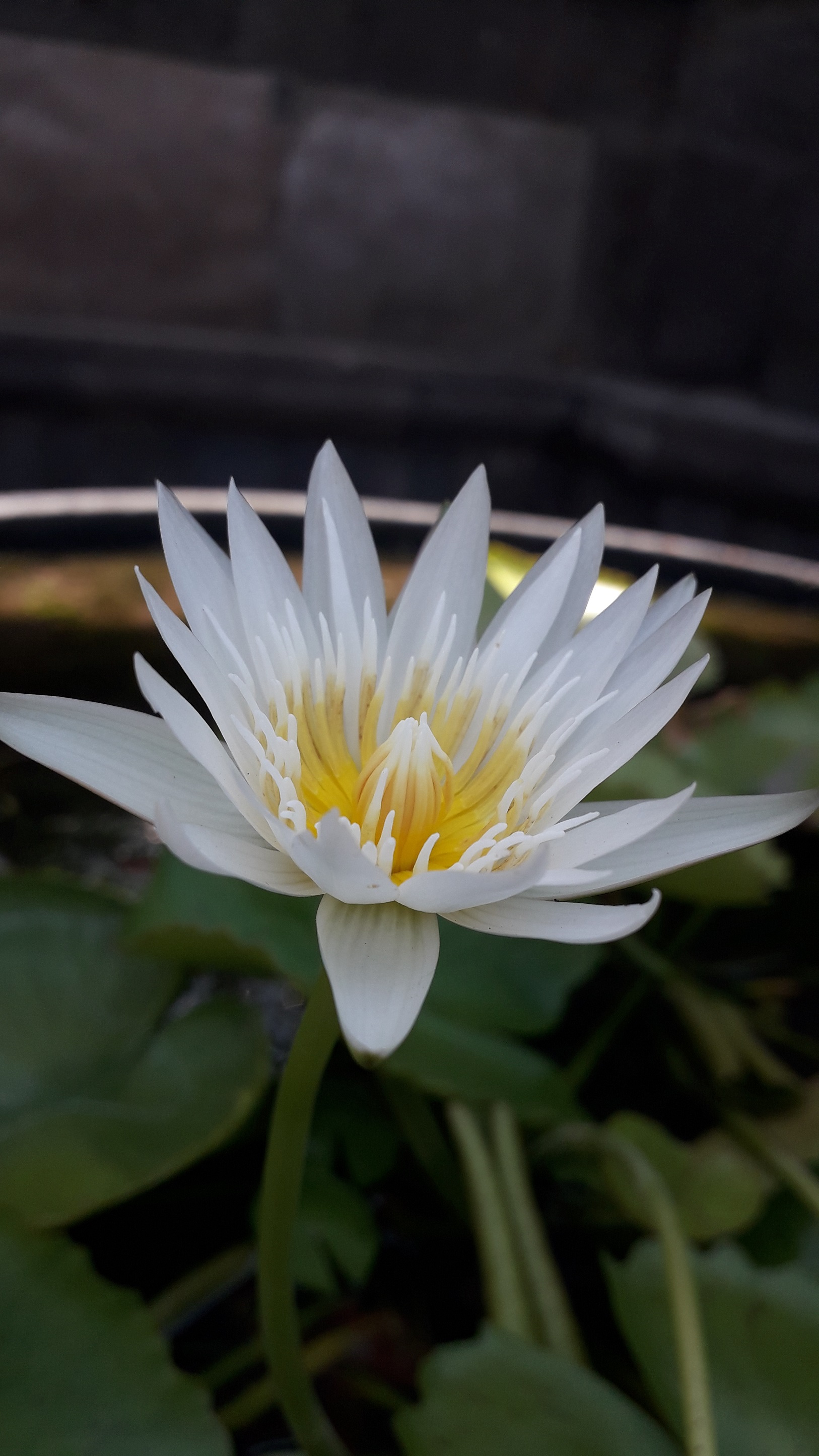20190501_101349.jpg