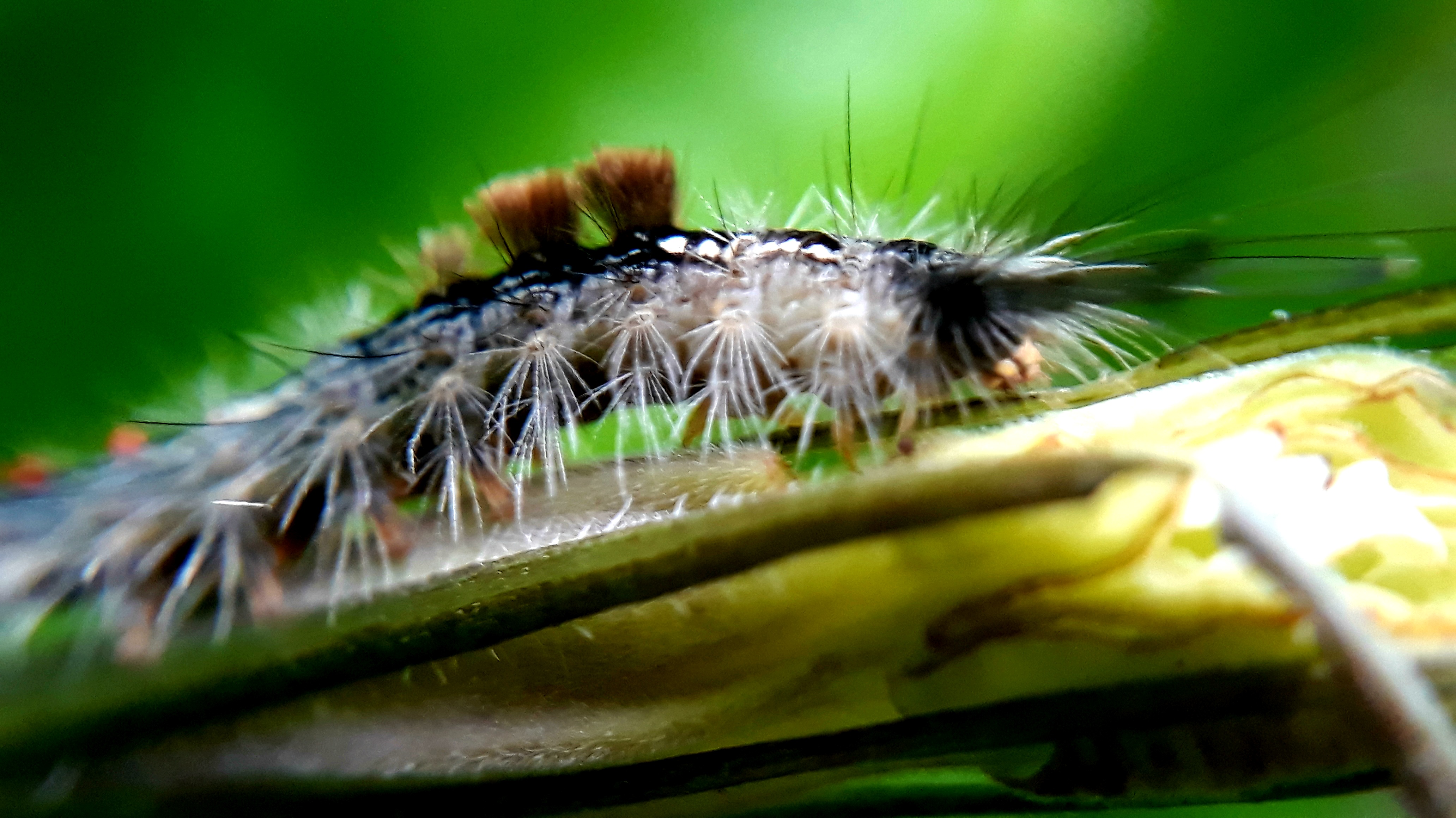 20210528_201600.jpg