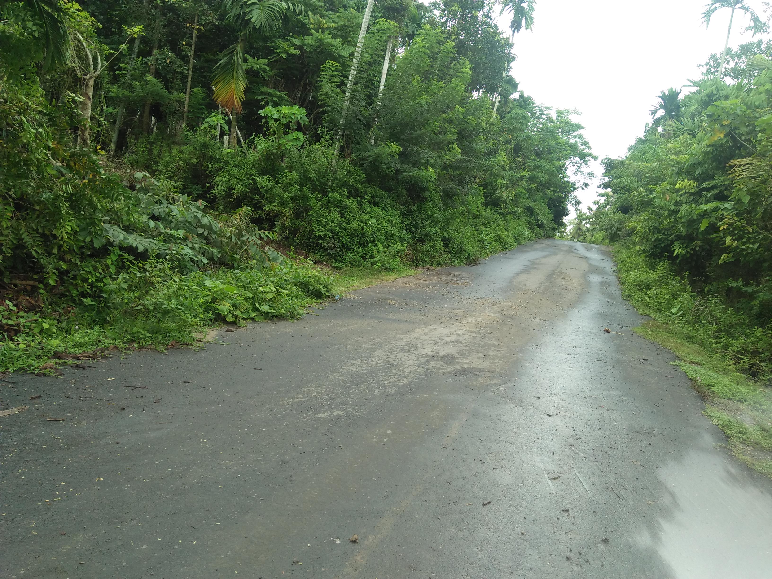 IMG20211129102254.jpg