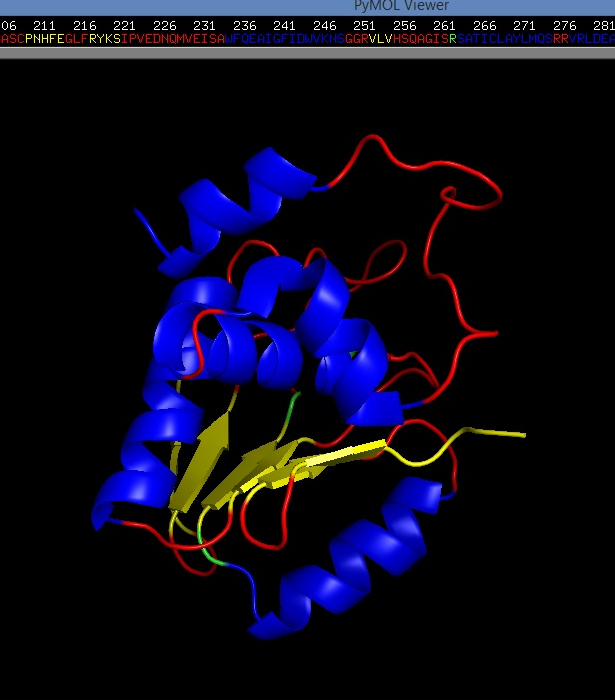 DUSP_2_secondary_structures_1.png