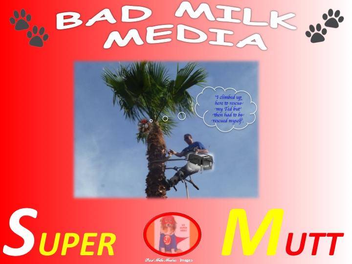 Slide03.jpg