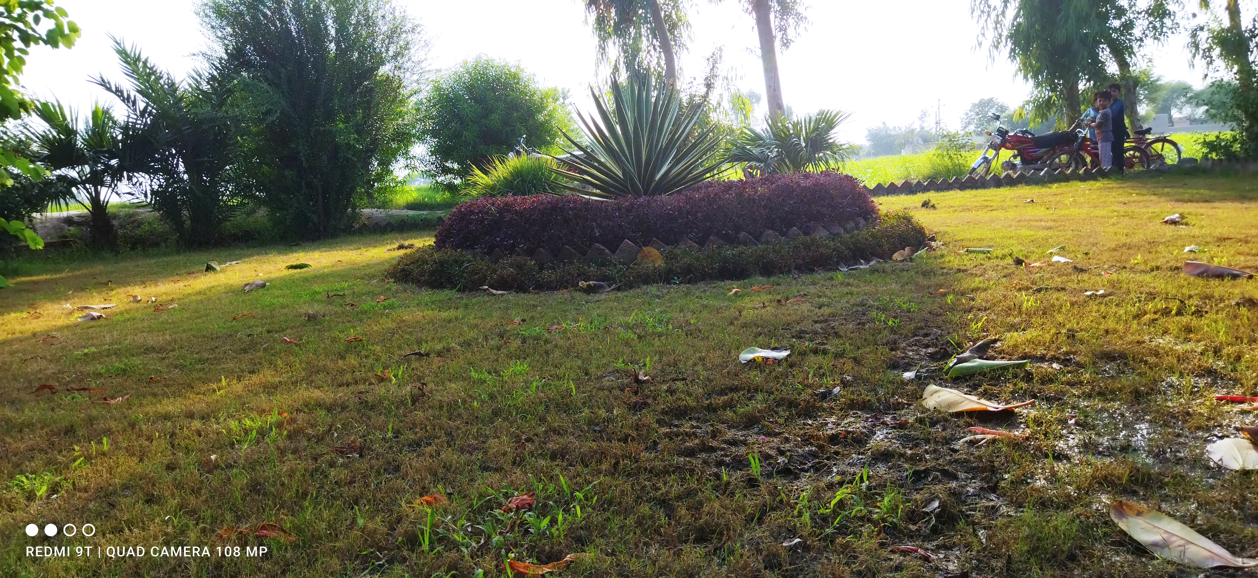 IMG_20210806_171258.jpg