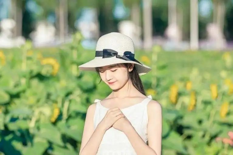 v2-514eca0a3dd26d265ca1672a8bb54232_1440w.webp