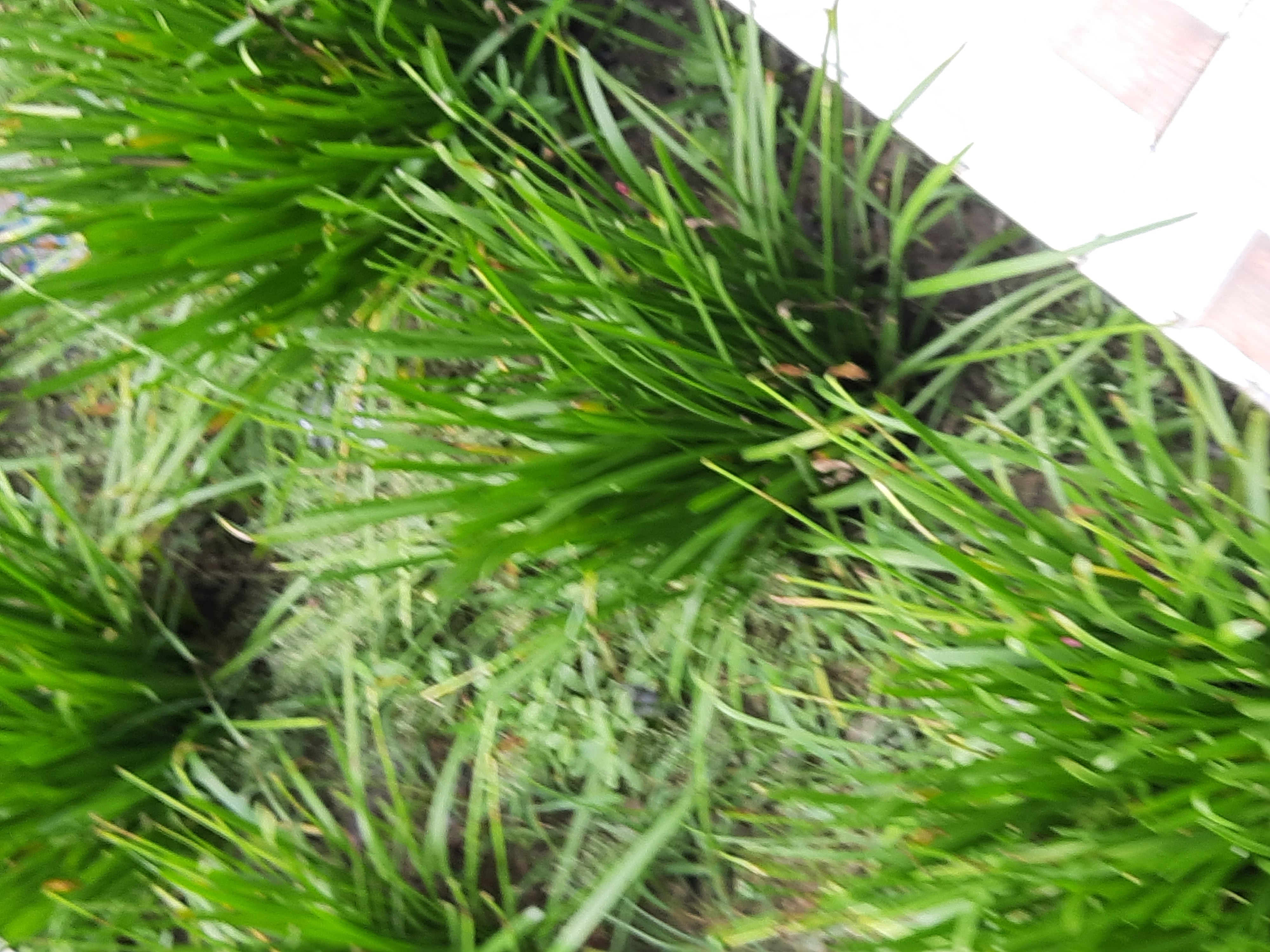 20220916_134943.jpg