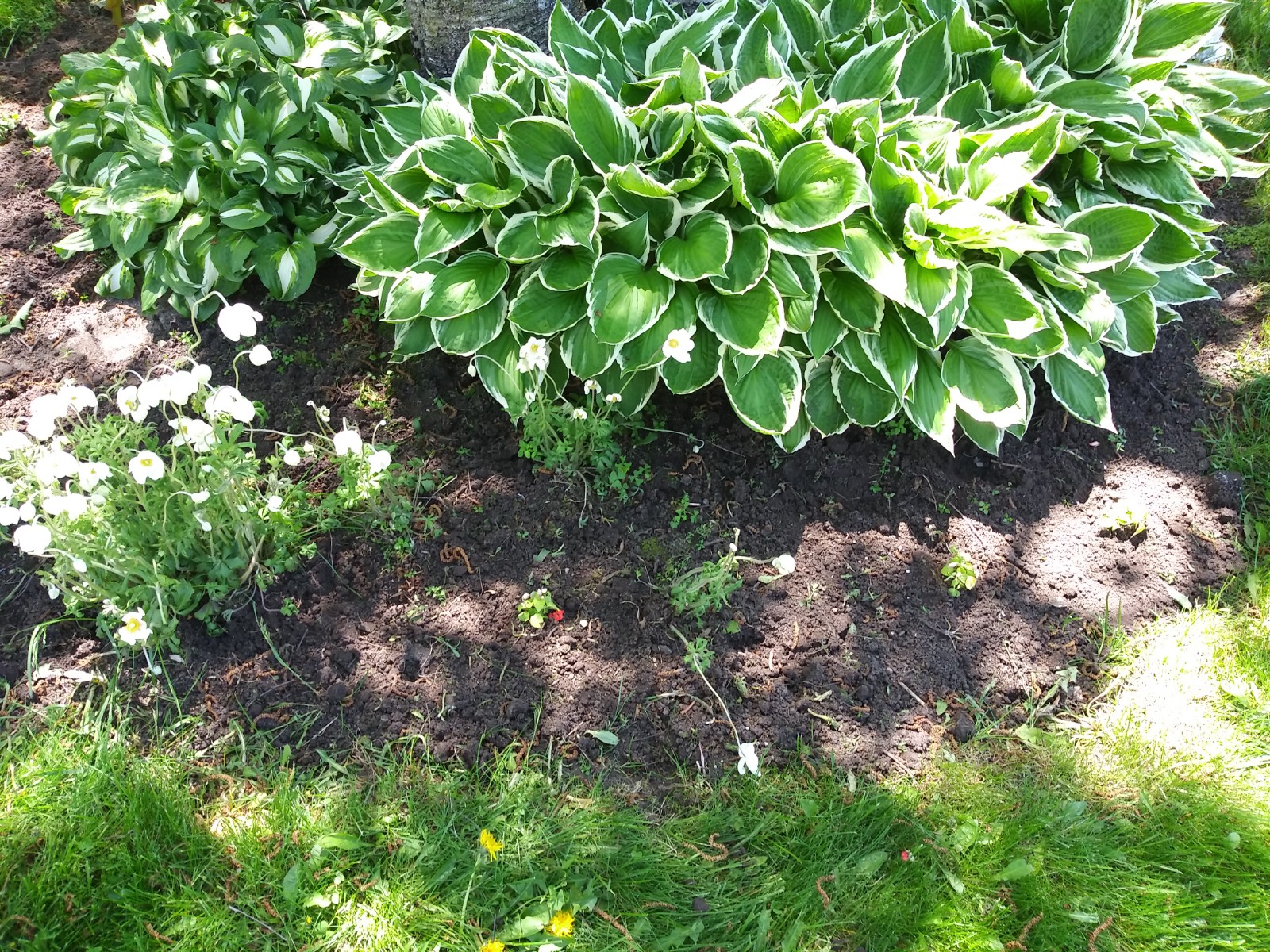 20190526_131932.jpg