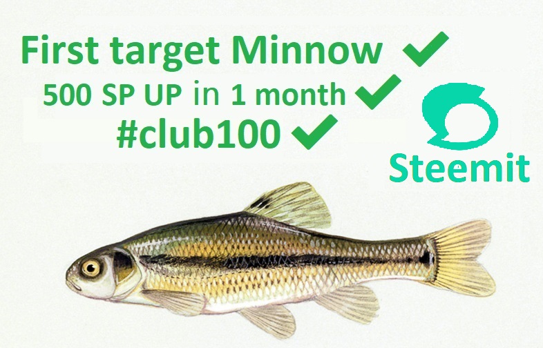minnow.jpg