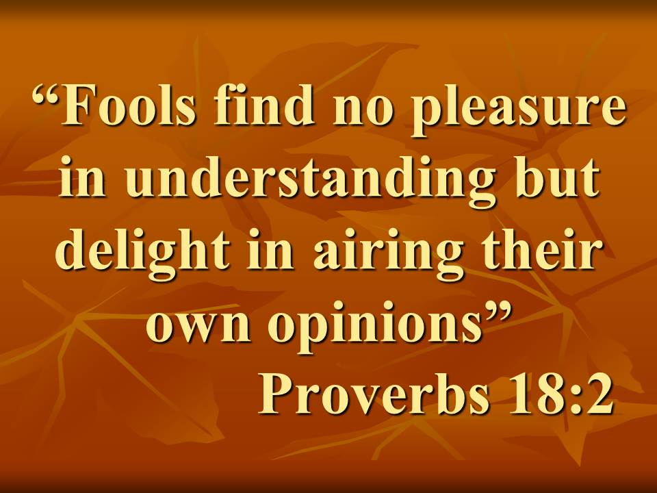 Thoughts for meditation. Fools find no pleasure in understanding but delight in airing their own opinions.jpg