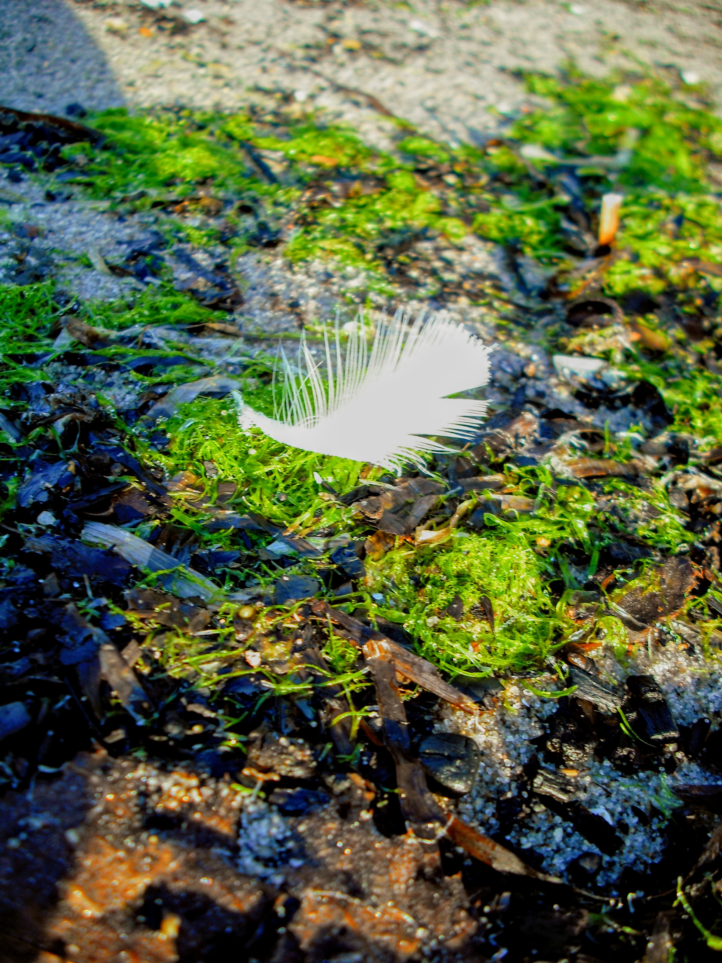 DSCF6153.jpg