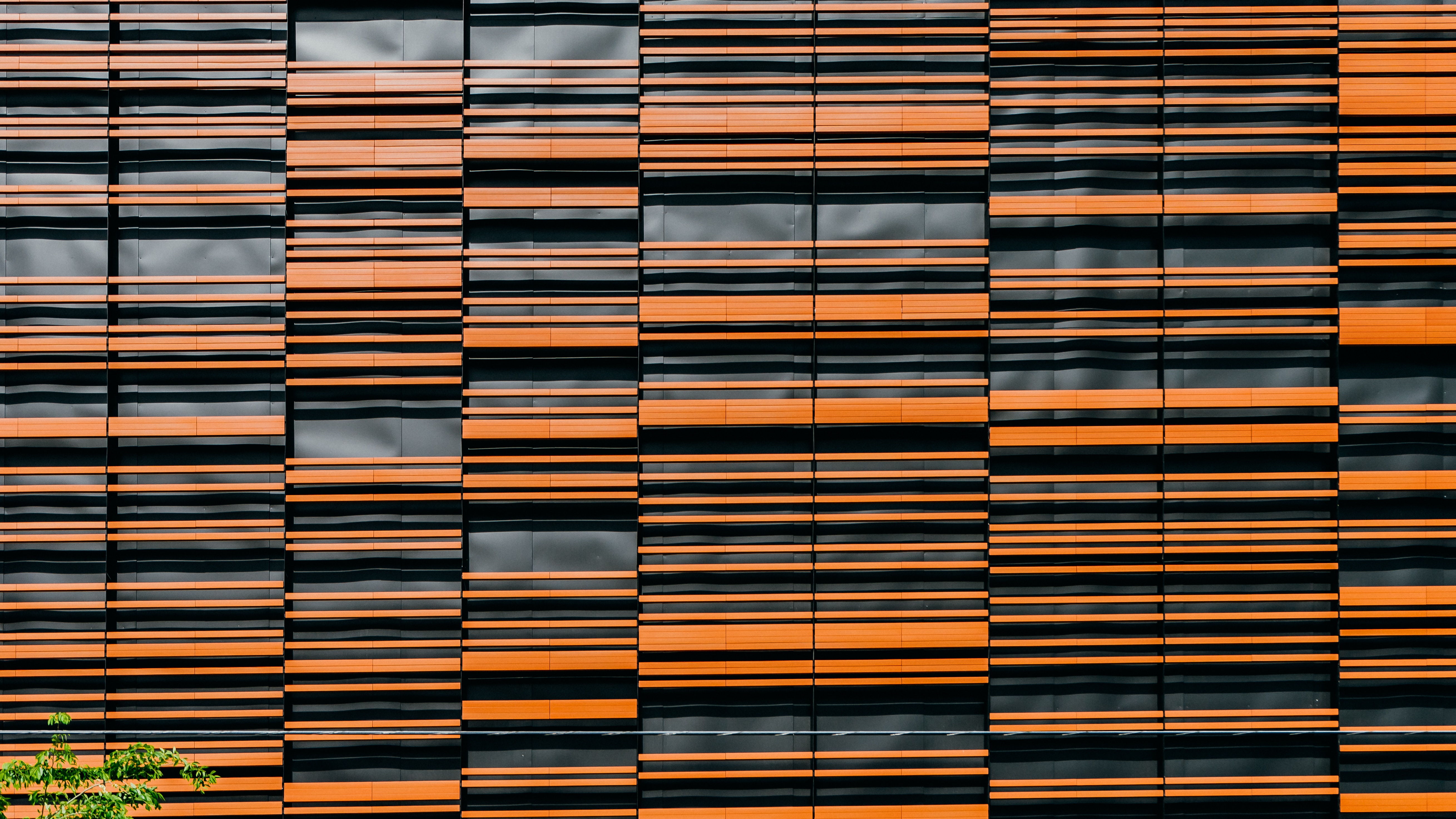 scott-webb-273768-unsplash.jpg