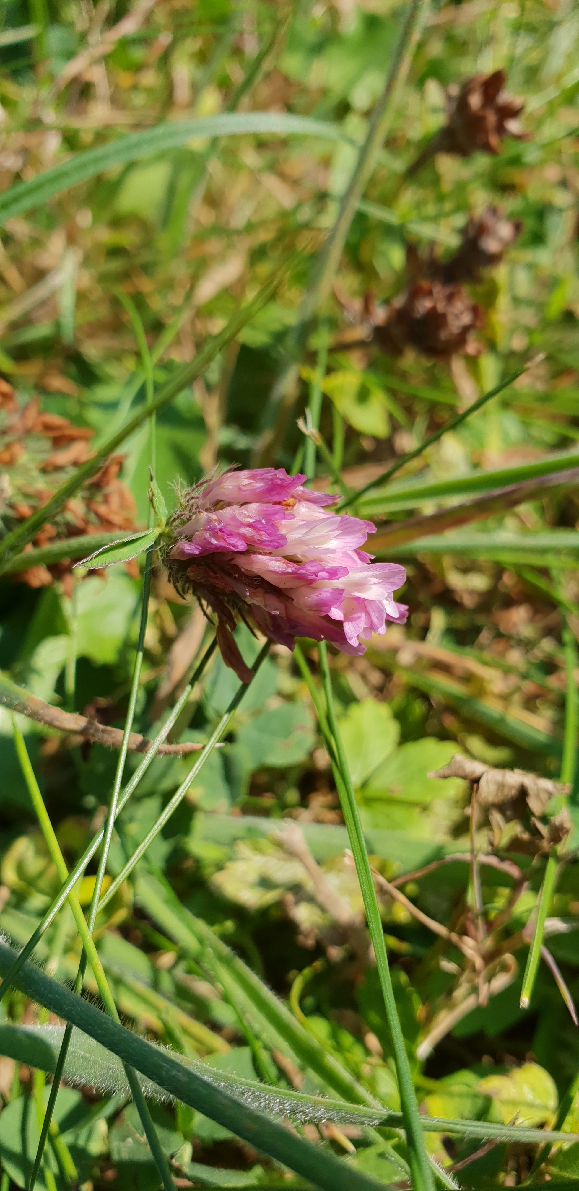 20180820_142750.jpg