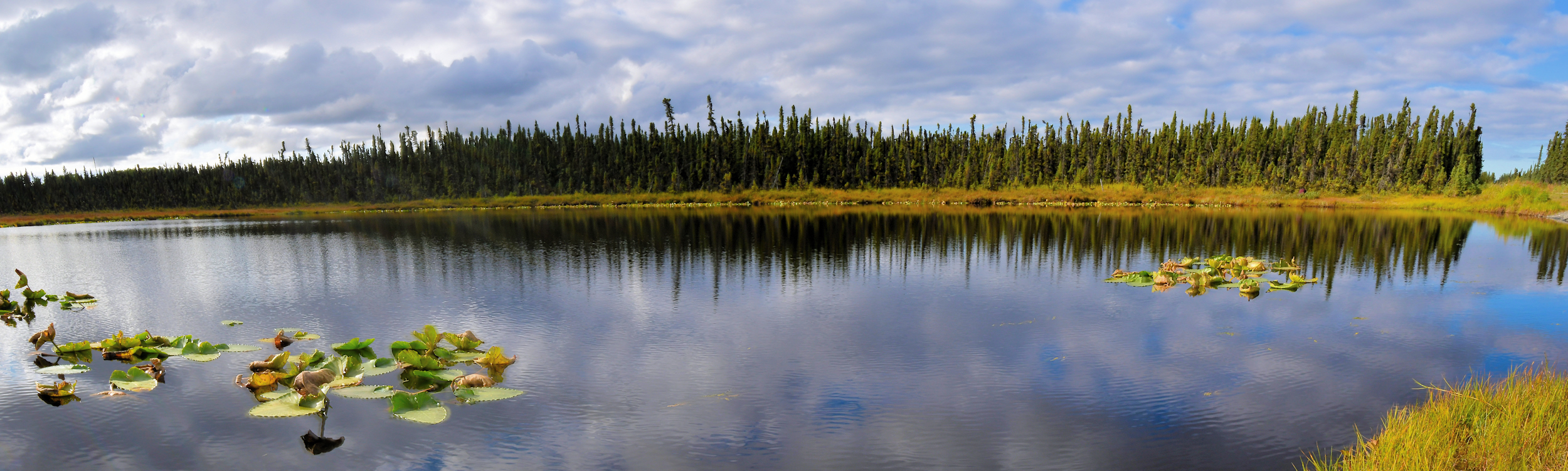 pano69 pond pano 2.jpg
