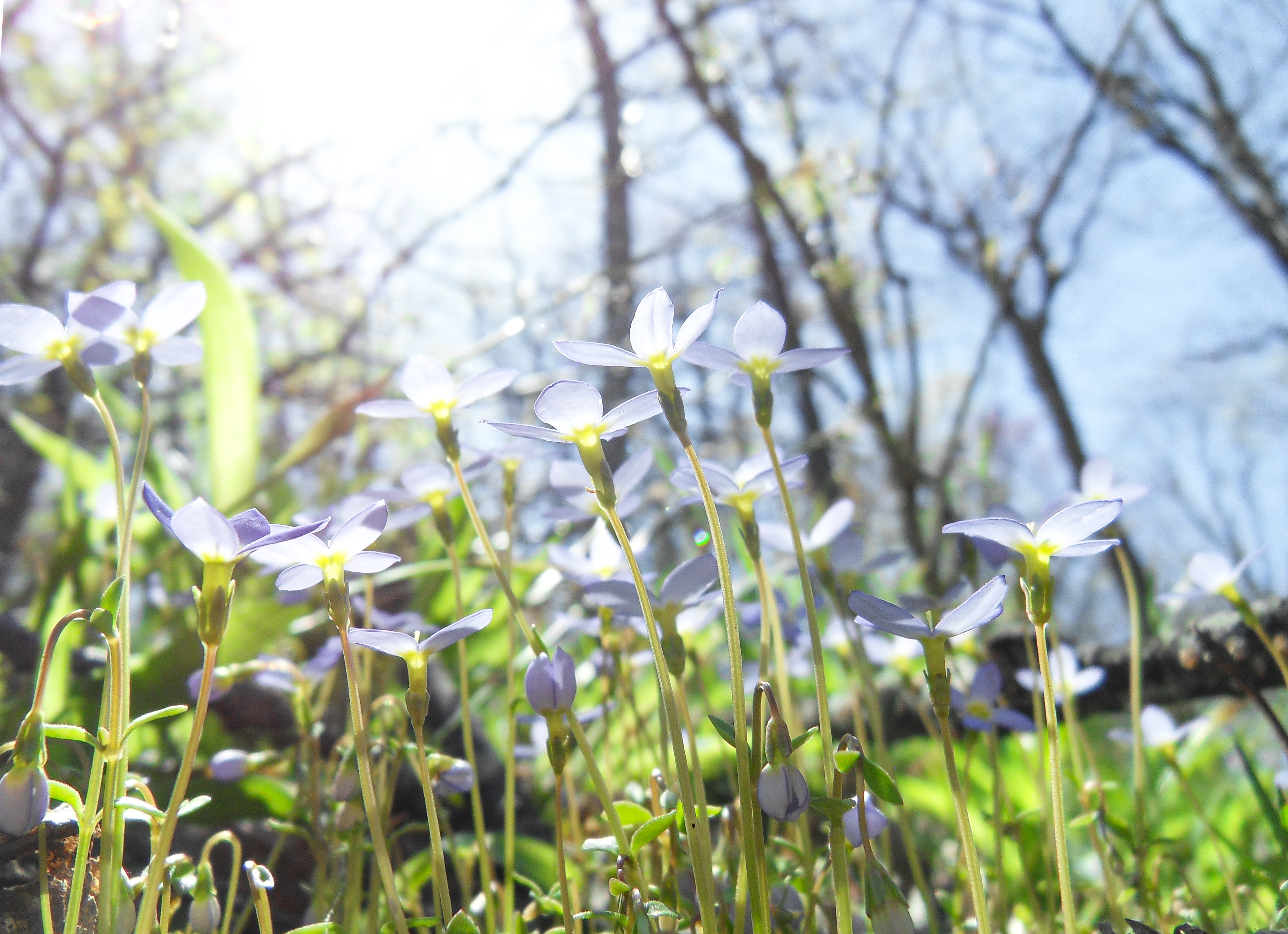 2010 Photography Collection - My First Images From My First Camera 10 Years Ago