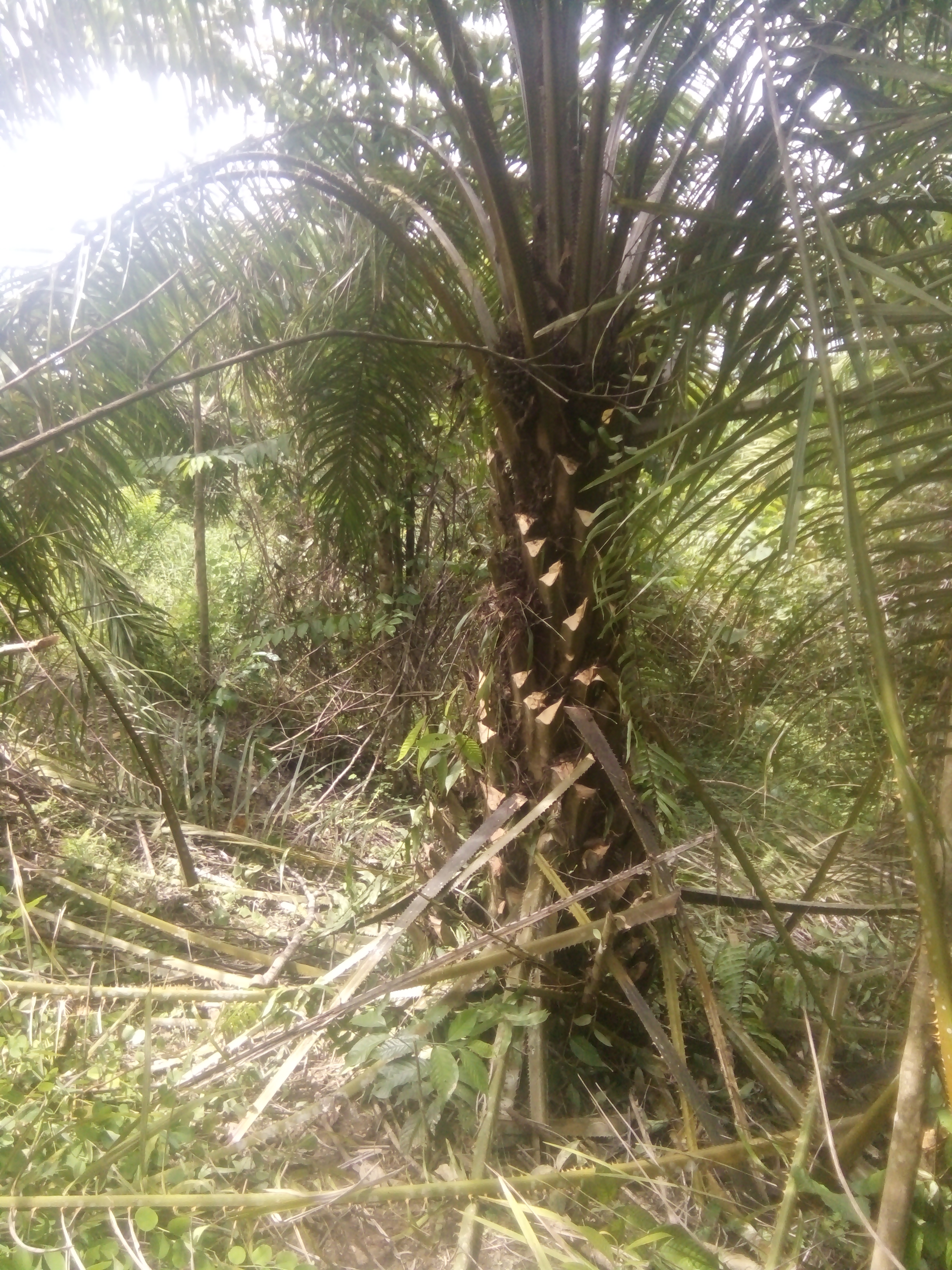 IMG20220601114837.jpg
