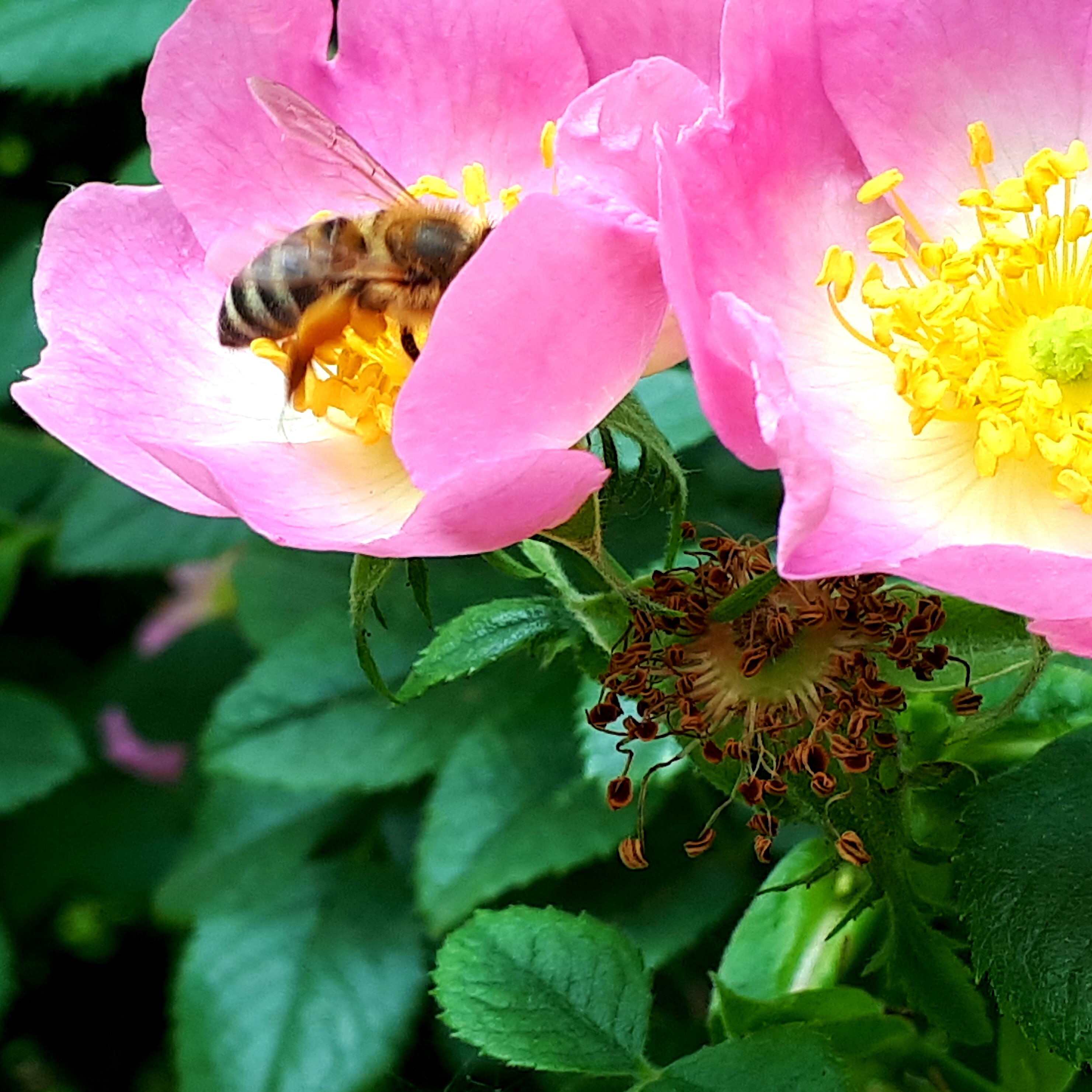 20190519_151909.jpg