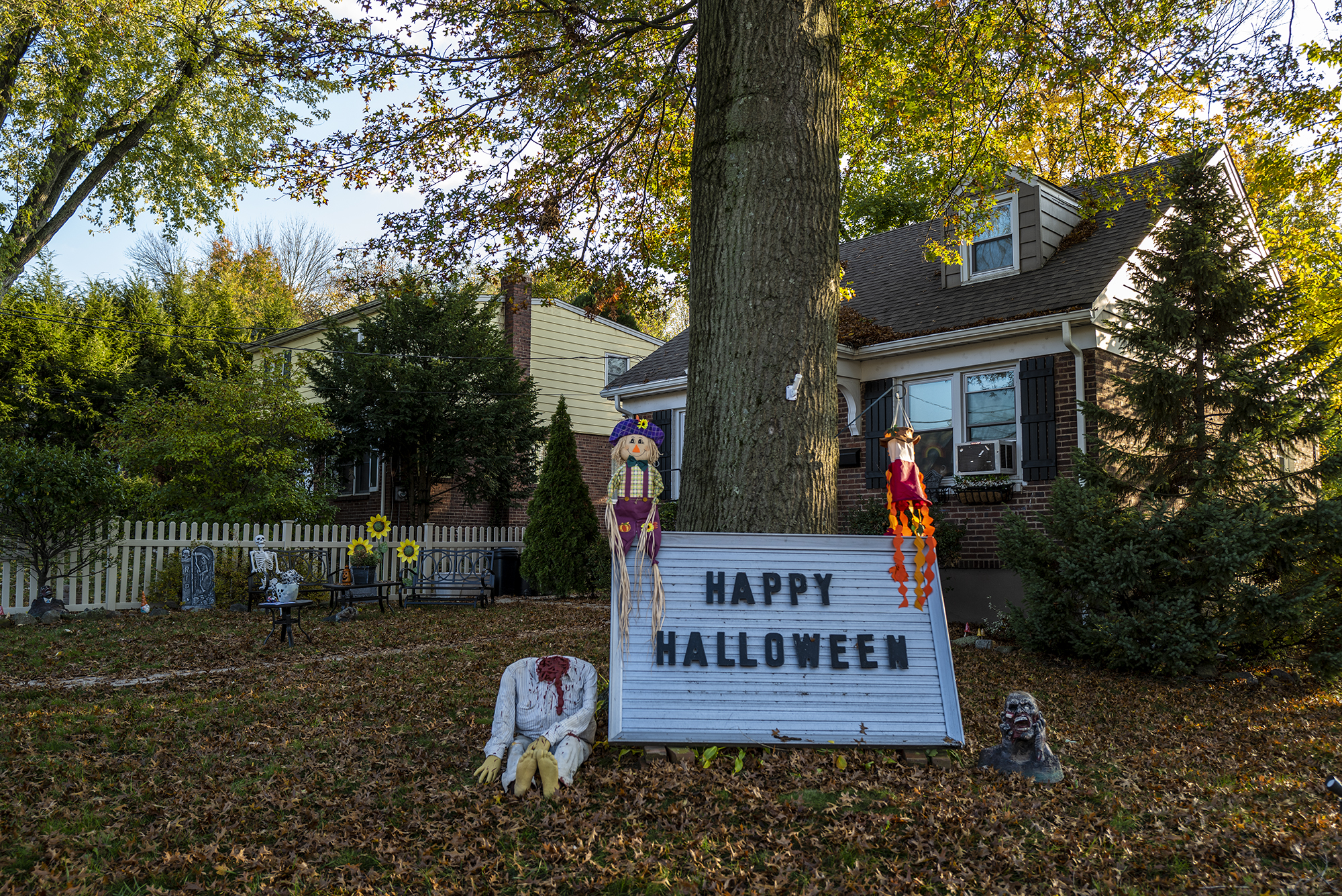 halloween1.jpg