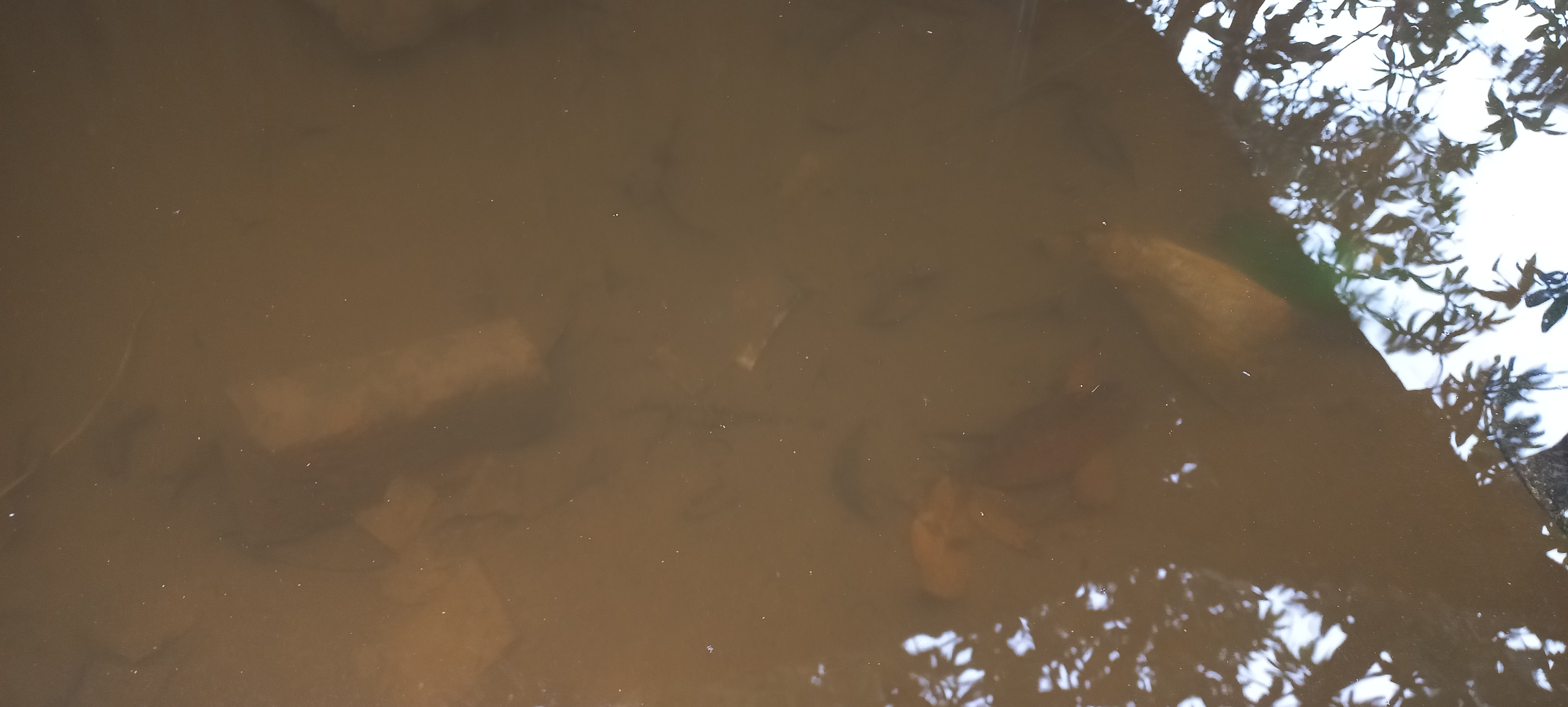 20220914_144852.jpg