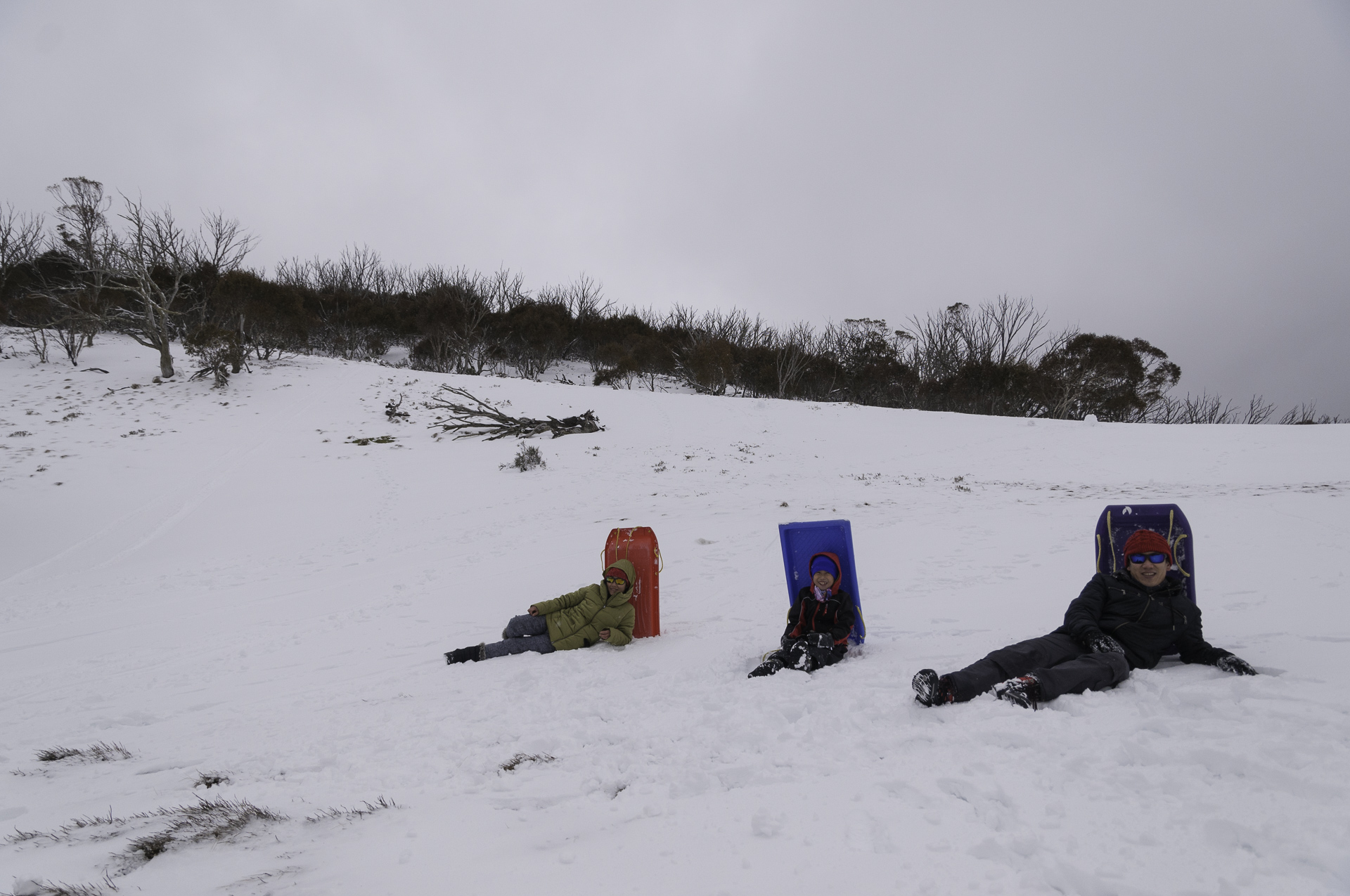 Family with sledges