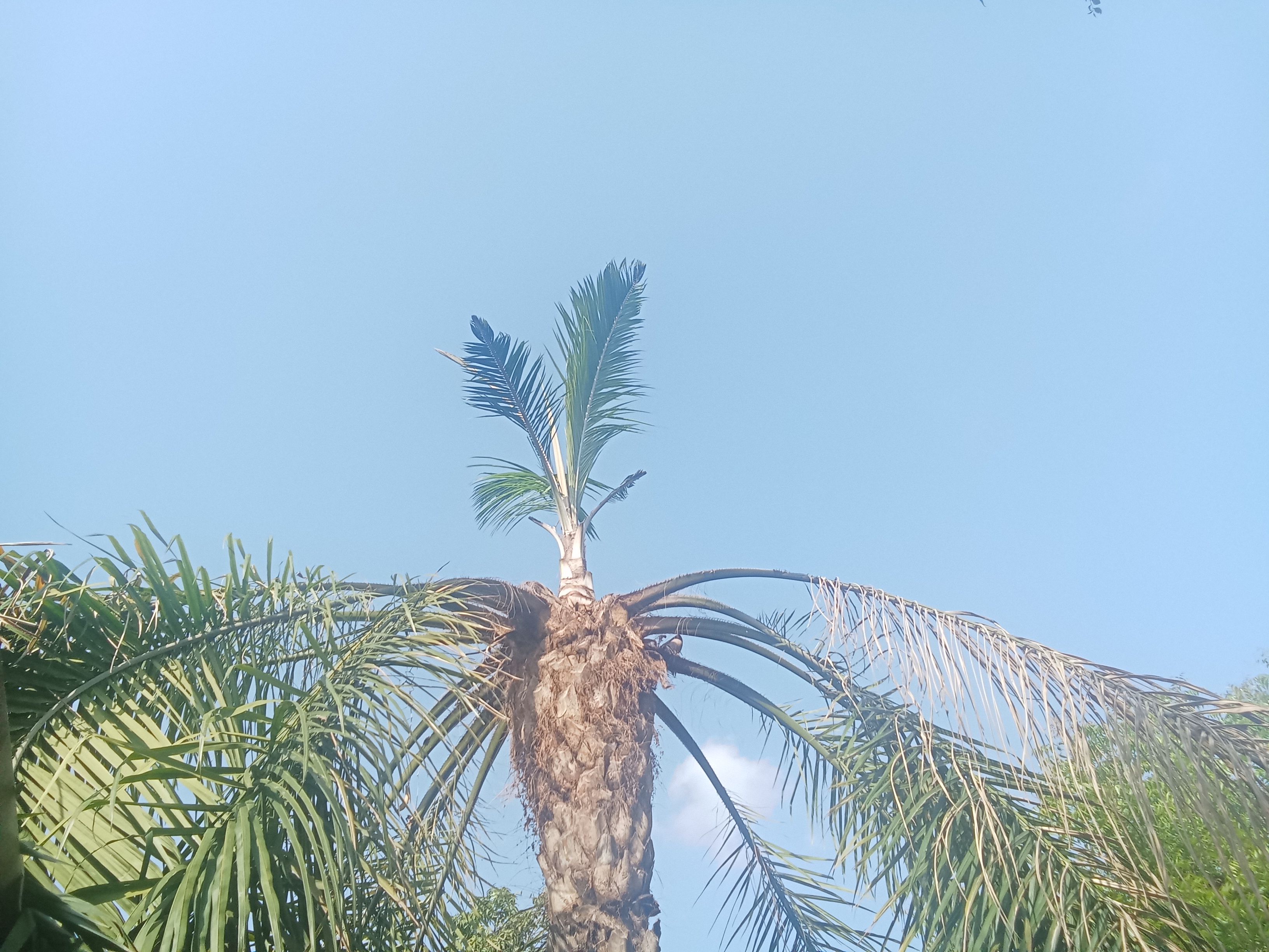 1000616942.jpg