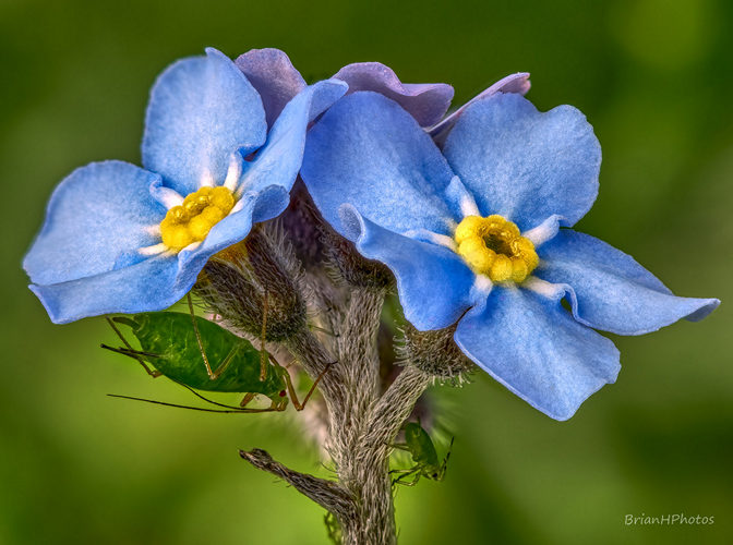 2021-04-17-15.57.13 ZS retouched_1_1_1 1.jpg