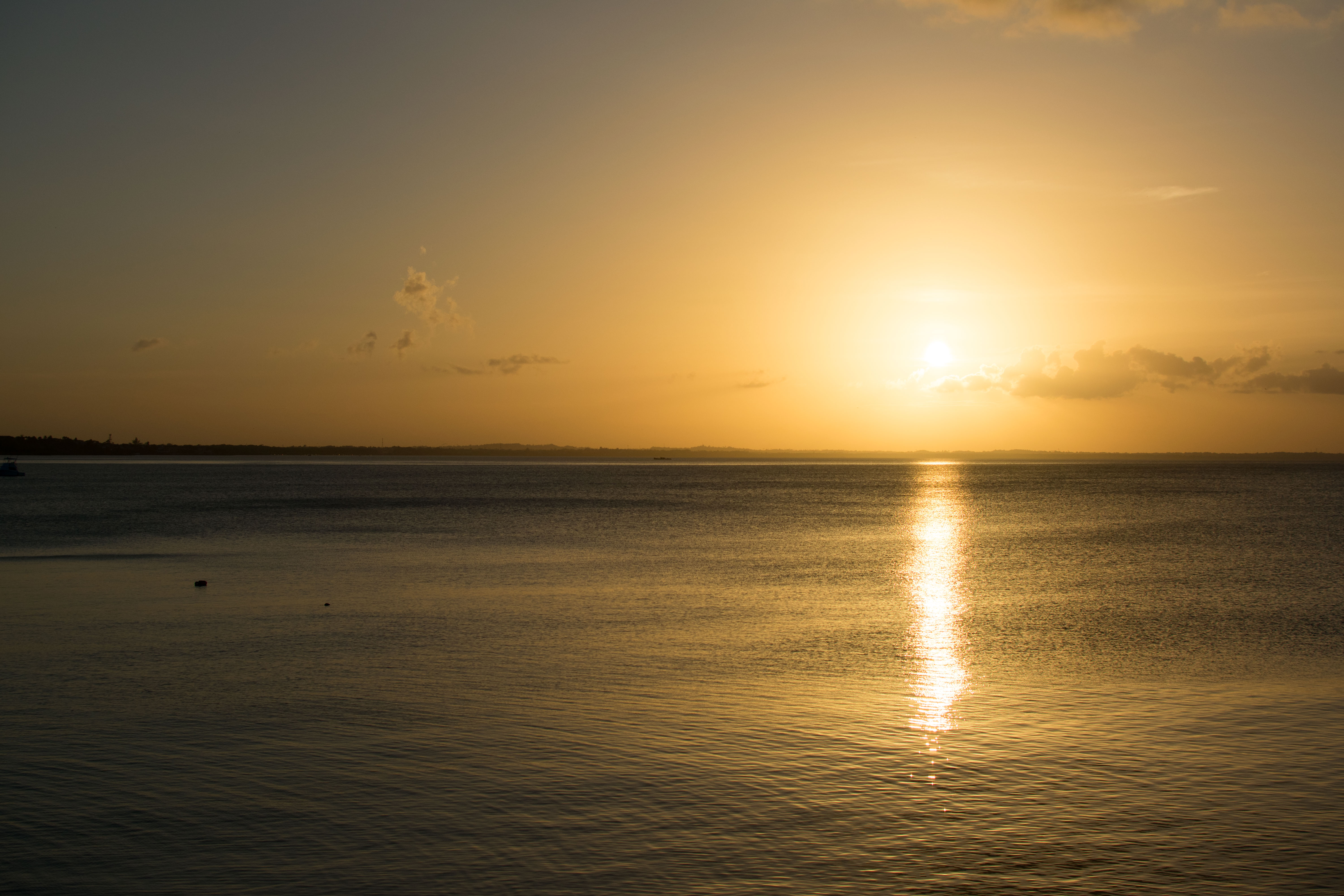 DSC_0155.jpg