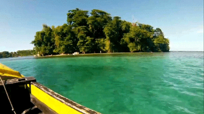 giphy (26).gif
