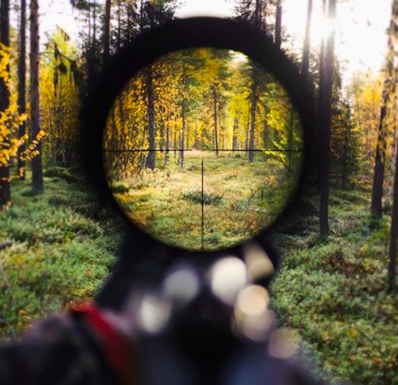 Pl Sight 4.jpg