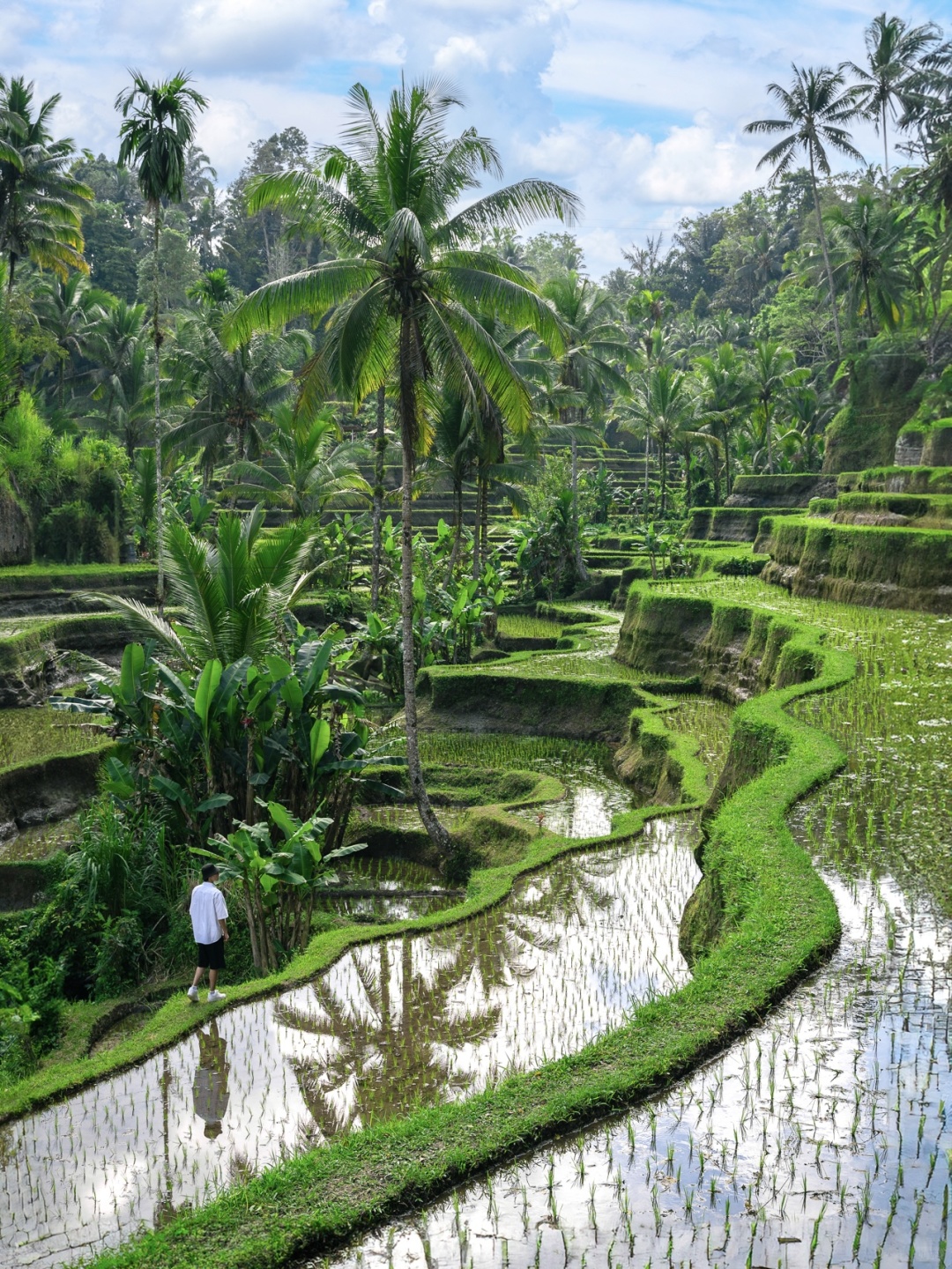 迄今为止,我最喜欢的落地签海岛出现了🏝️_0 (1)_9.jpg