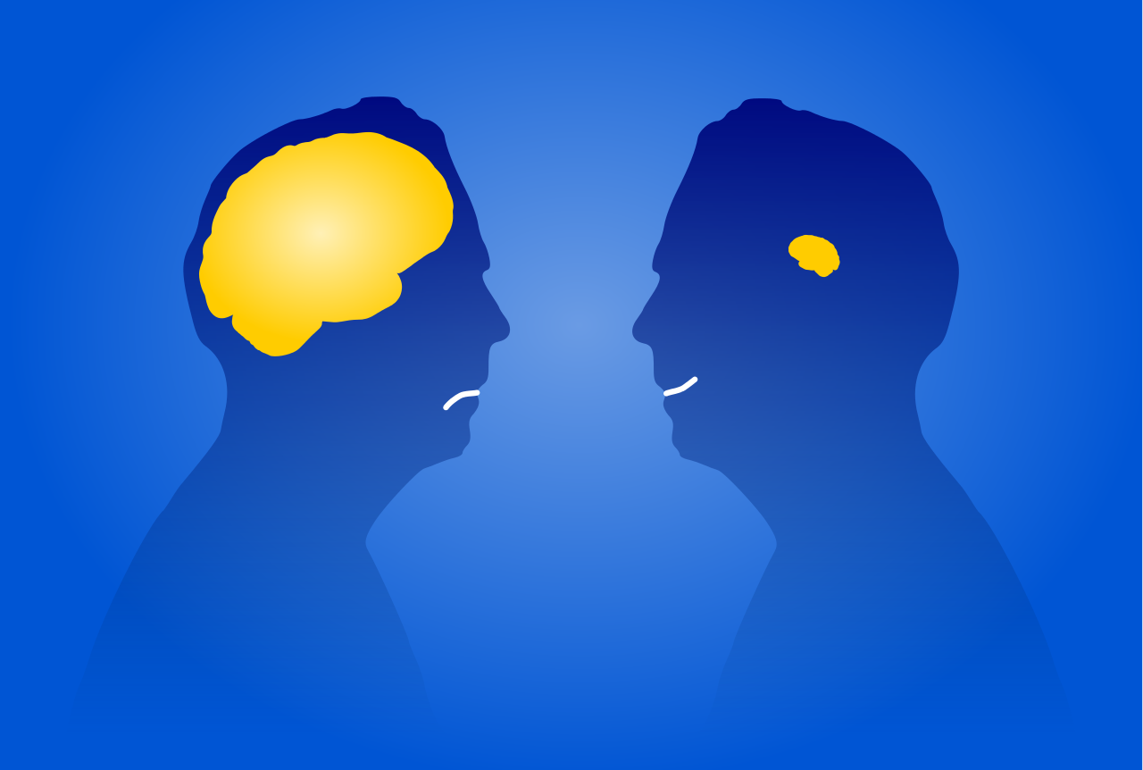 Mr_Pipo_Dunning_kruger.svg.png
