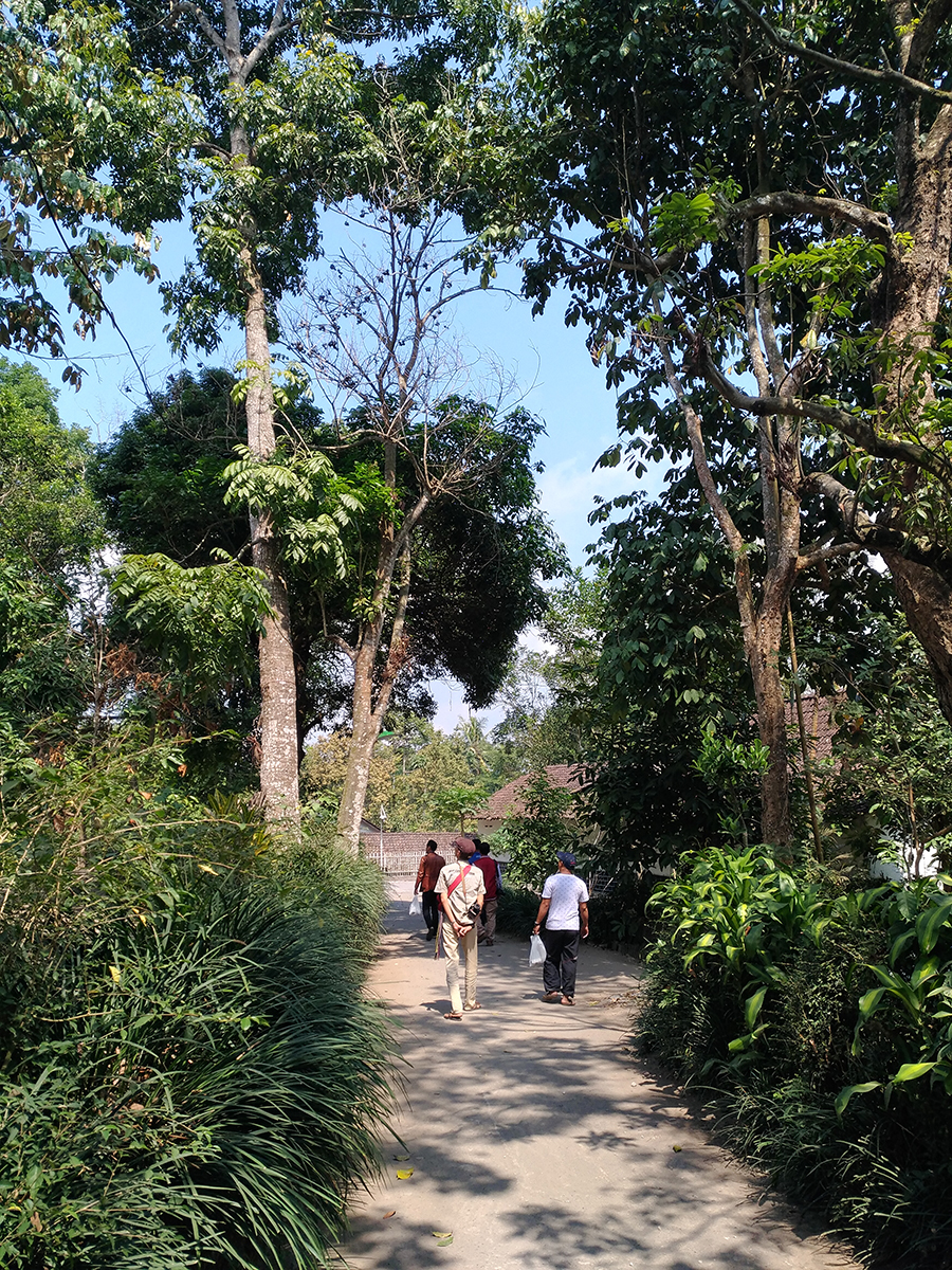 038 - Jalan menuju Obat Herbal 2.jpg