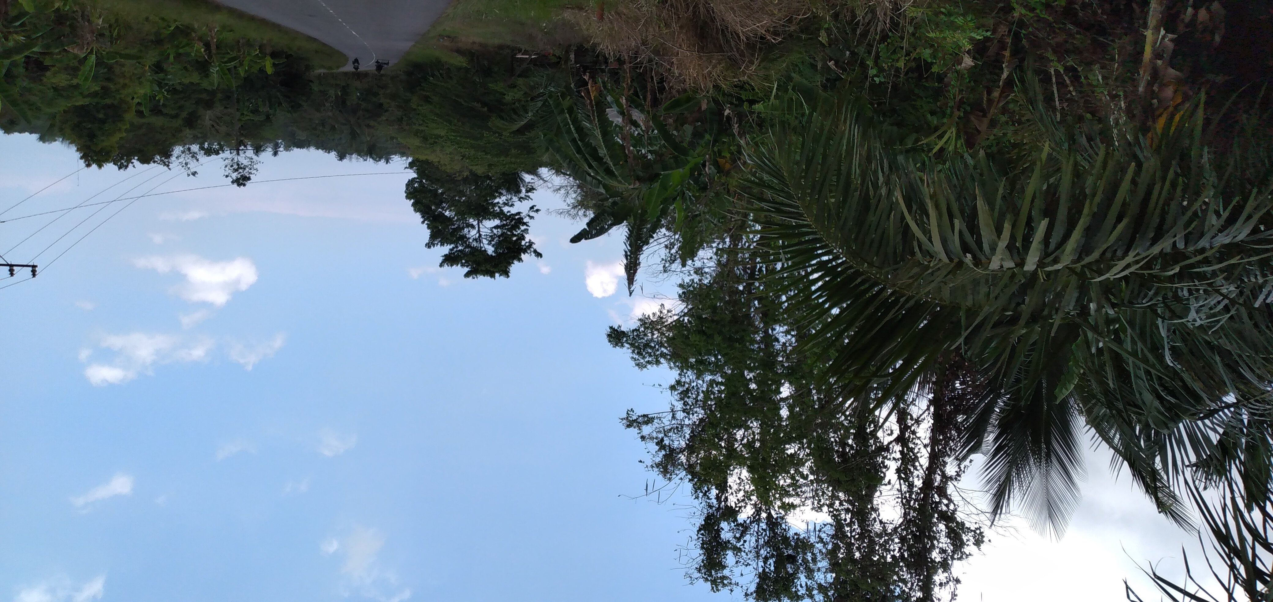 20230329_122625.jpg