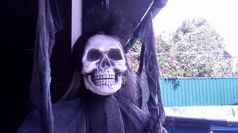 image (1) (1).gif